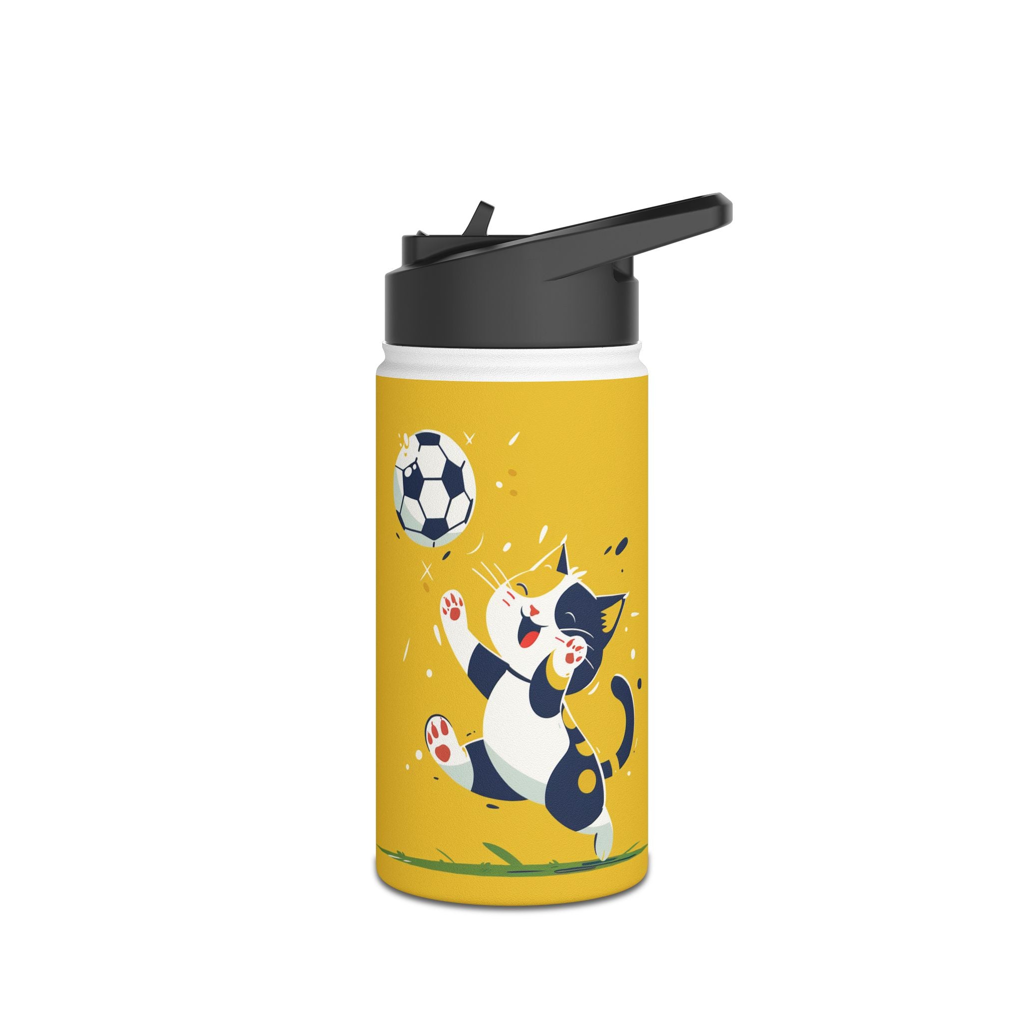 Stainless Steel Water Bottle, Standard Lid