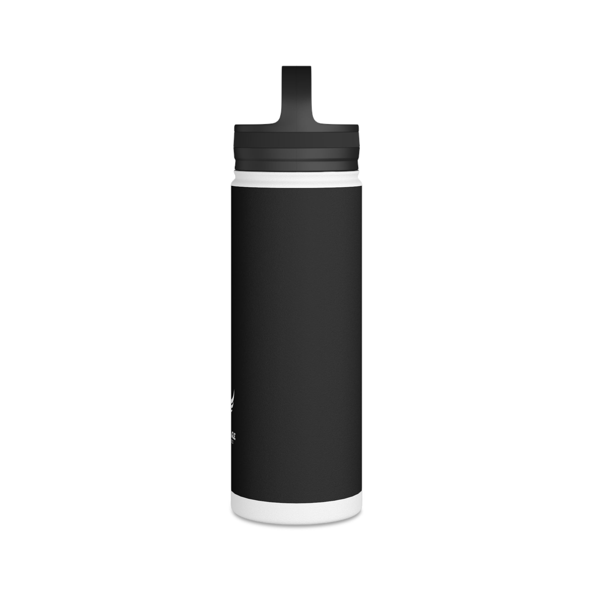 Stainless Steel Water Bottle, Handle Lid