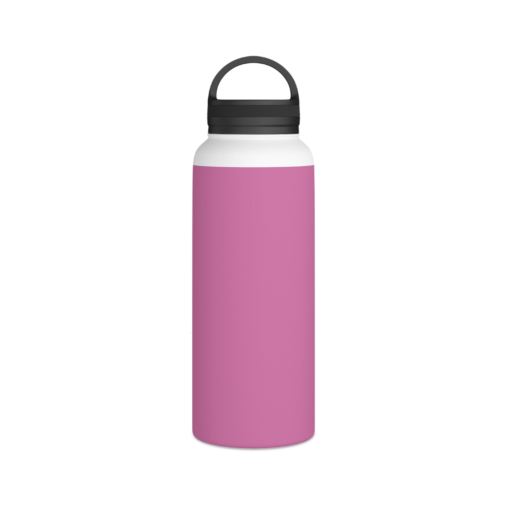 Stainless Steel Water Bottle, Handle Lid