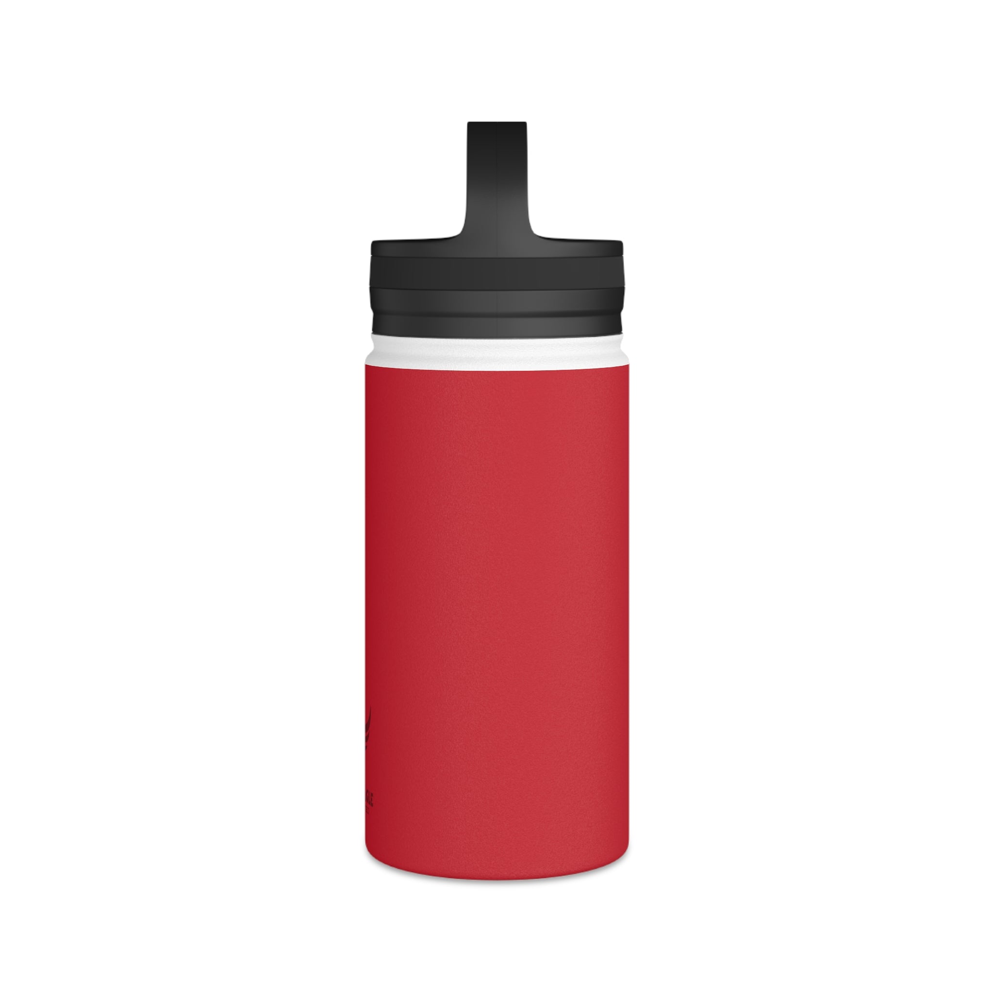 Stainless Steel Water Bottle, Handle Lid