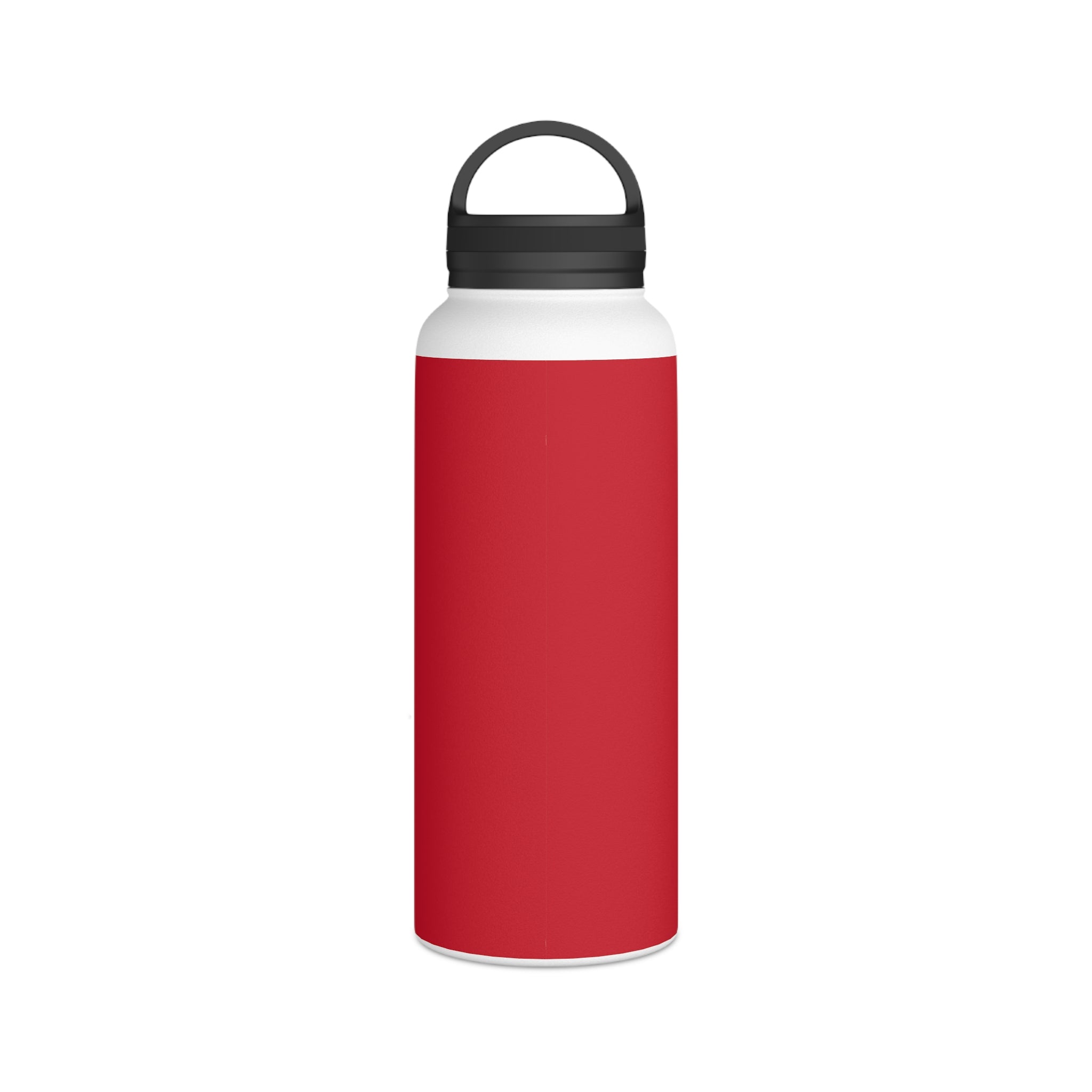 Stainless Steel Water Bottle, Handle Lid