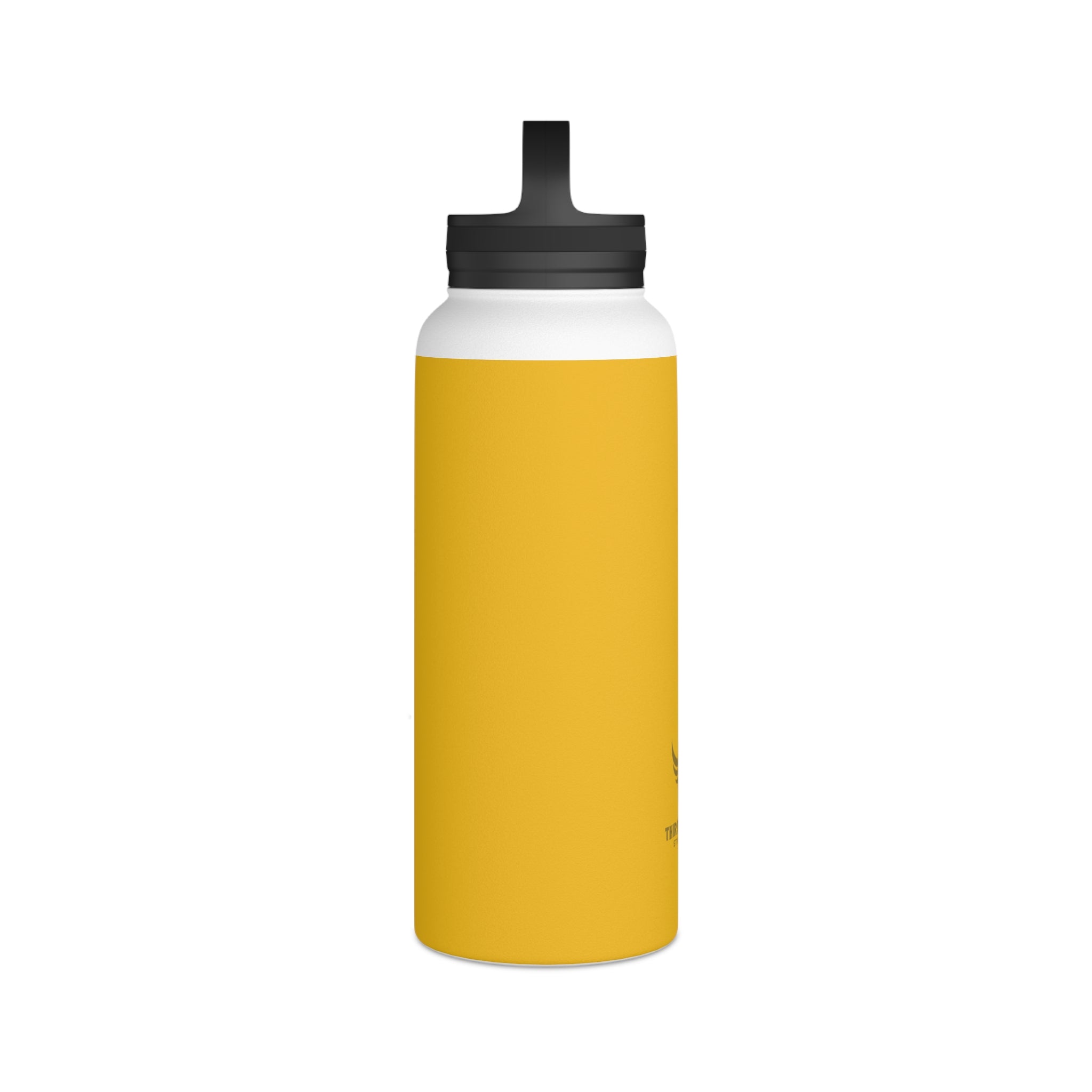 Stainless Steel Water Bottle, Handle Lid