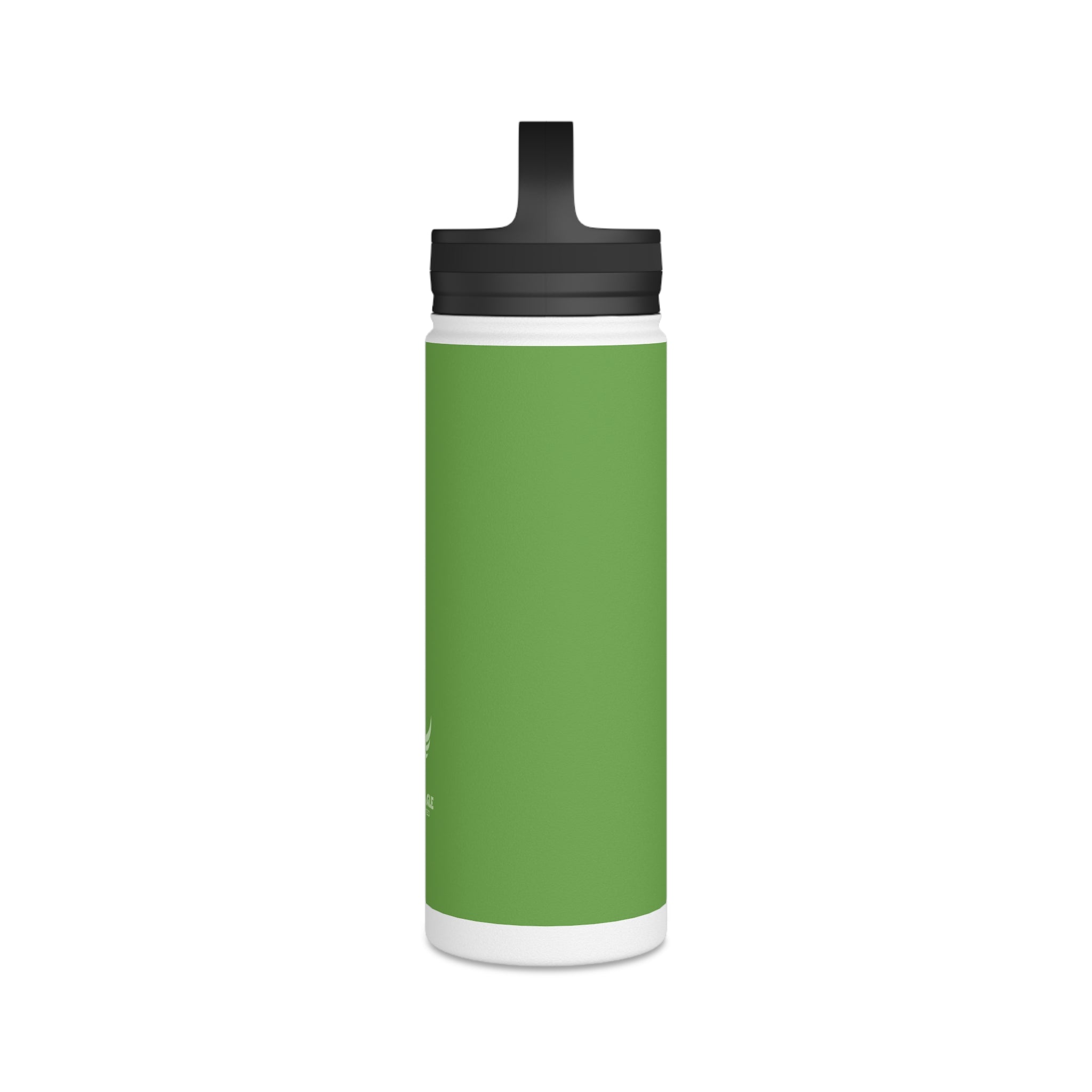 Stainless Steel Water Bottle, Handle Lid