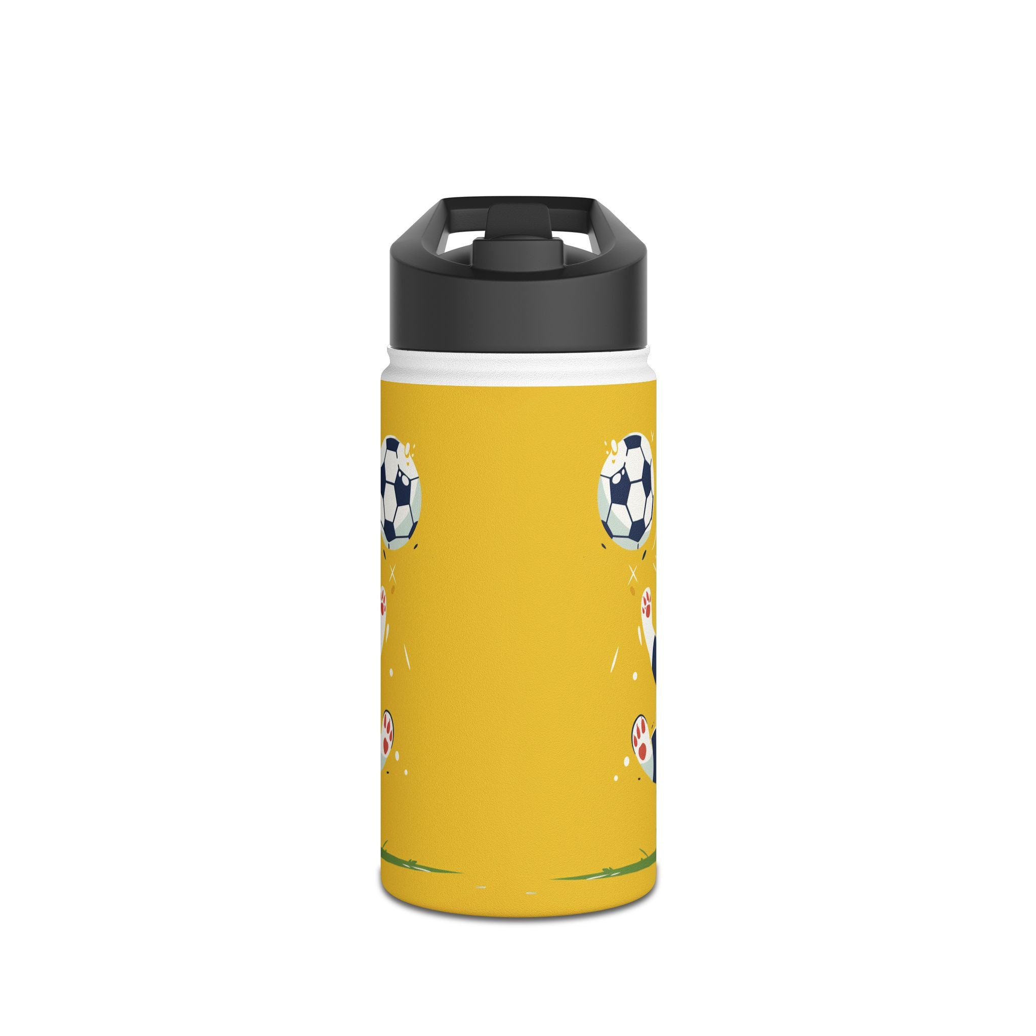 Stainless Steel Water Bottle, Standard Lid