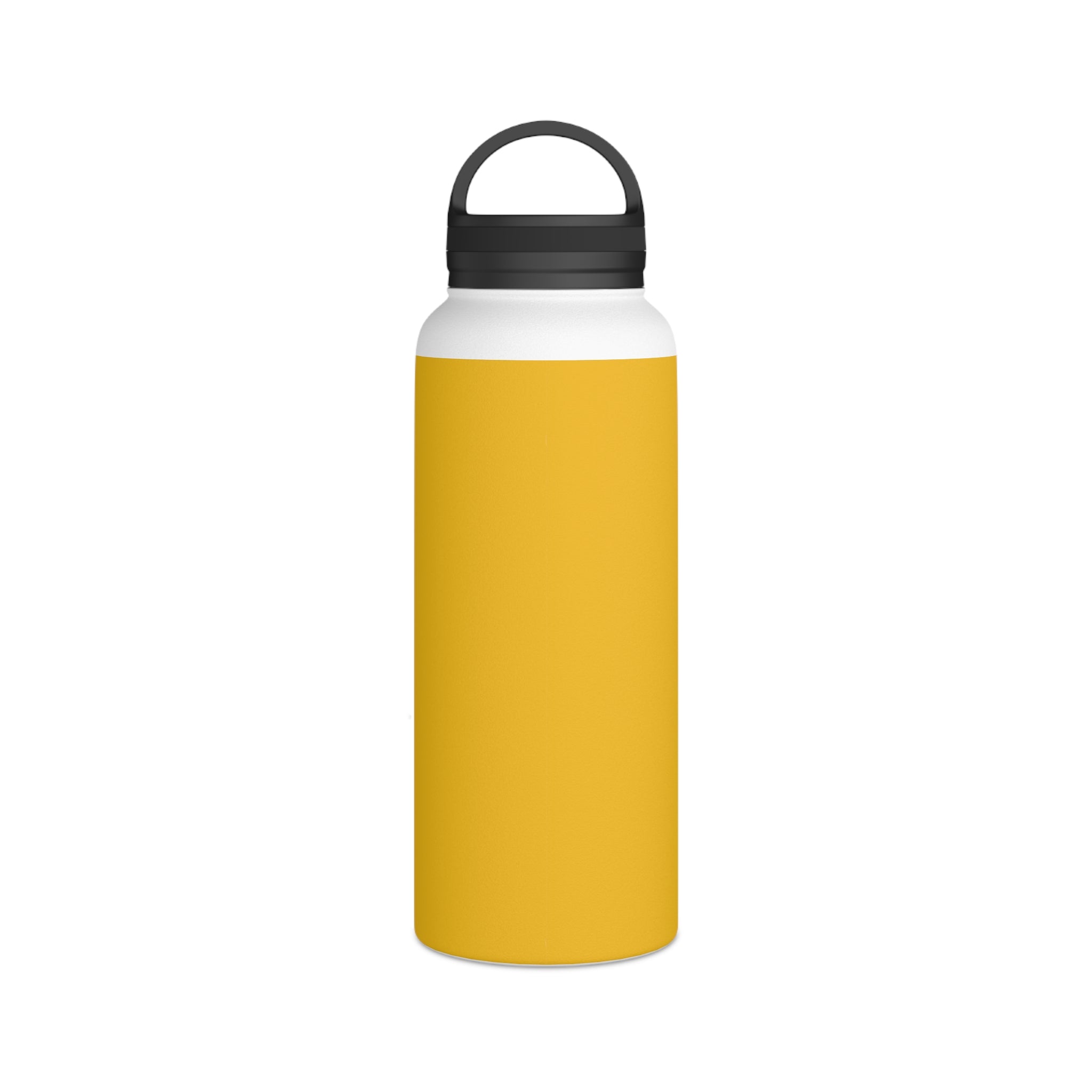 Stainless Steel Water Bottle, Handle Lid