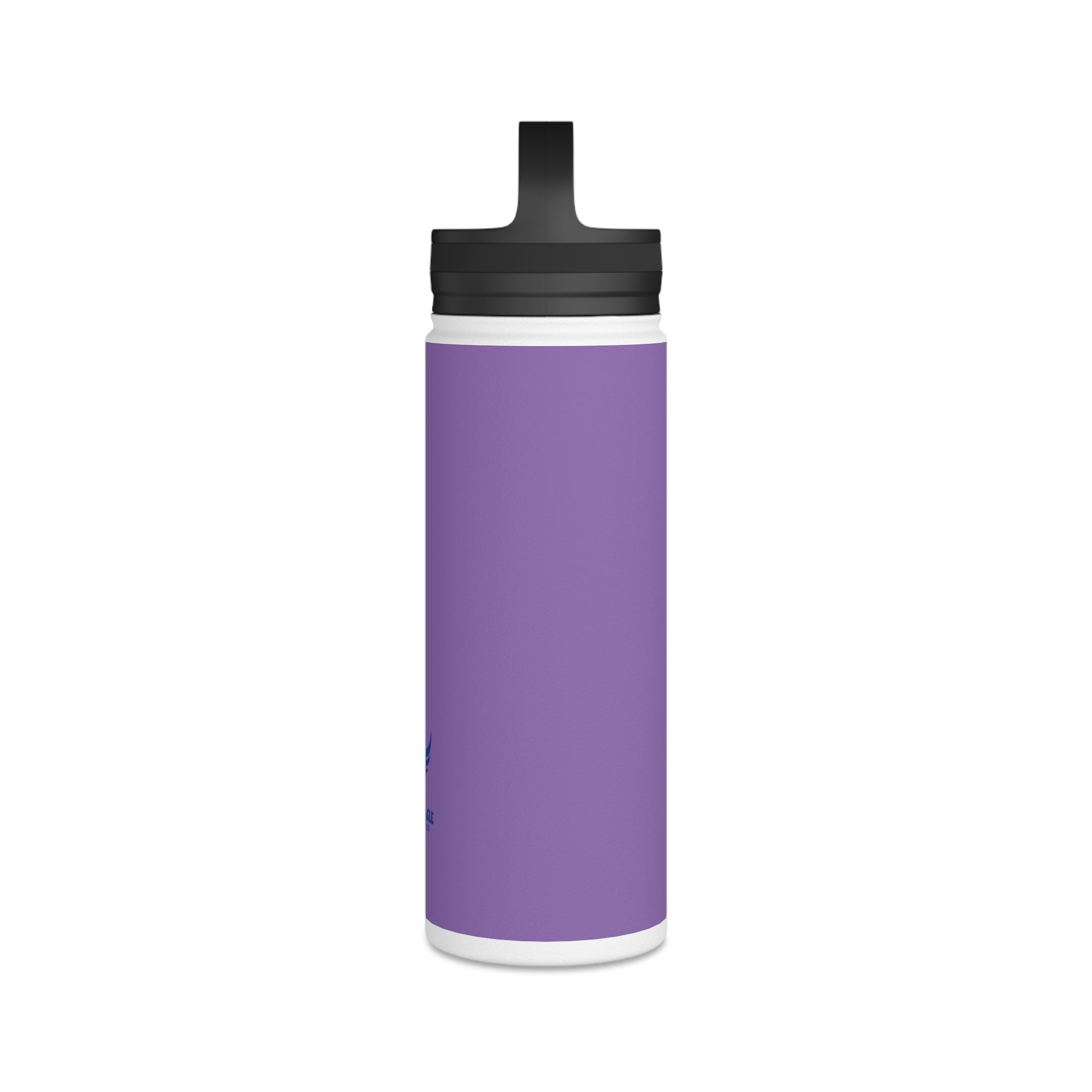 Stainless Steel Water Bottle, Handle Lid