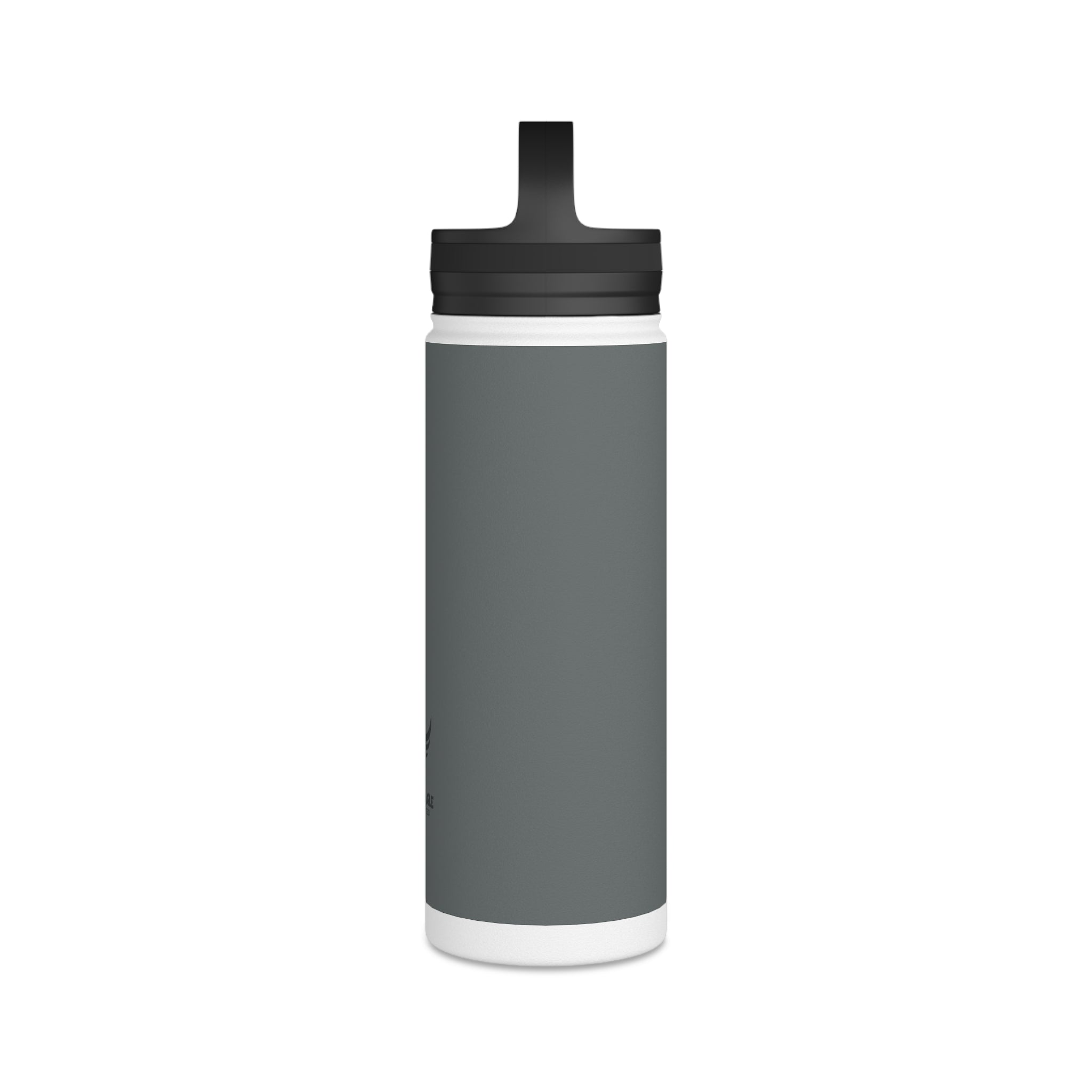 Stainless Steel Water Bottle, Handle Lid