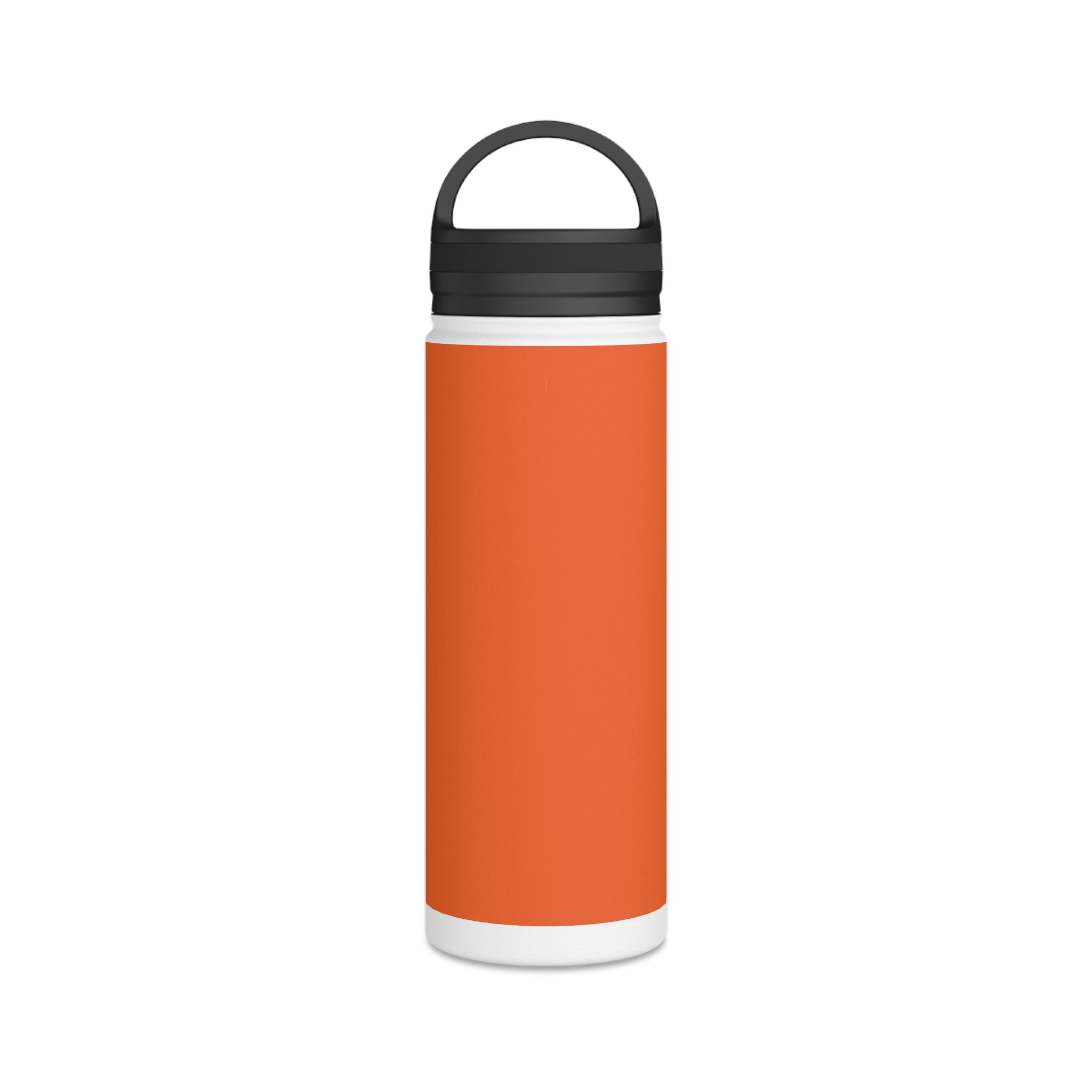 Stainless Steel Water Bottle, Handle Lid