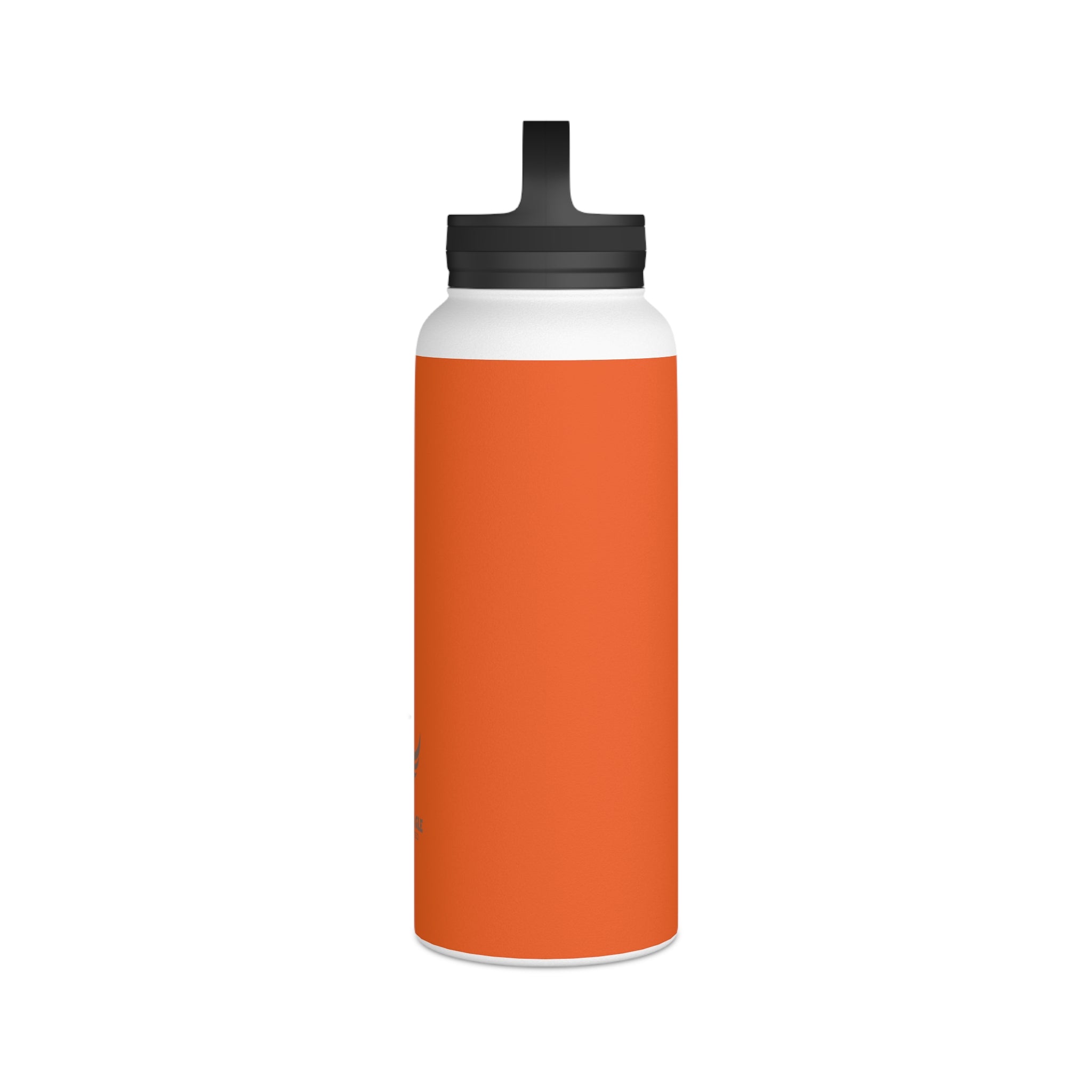 Stainless Steel Water Bottle, Handle Lid