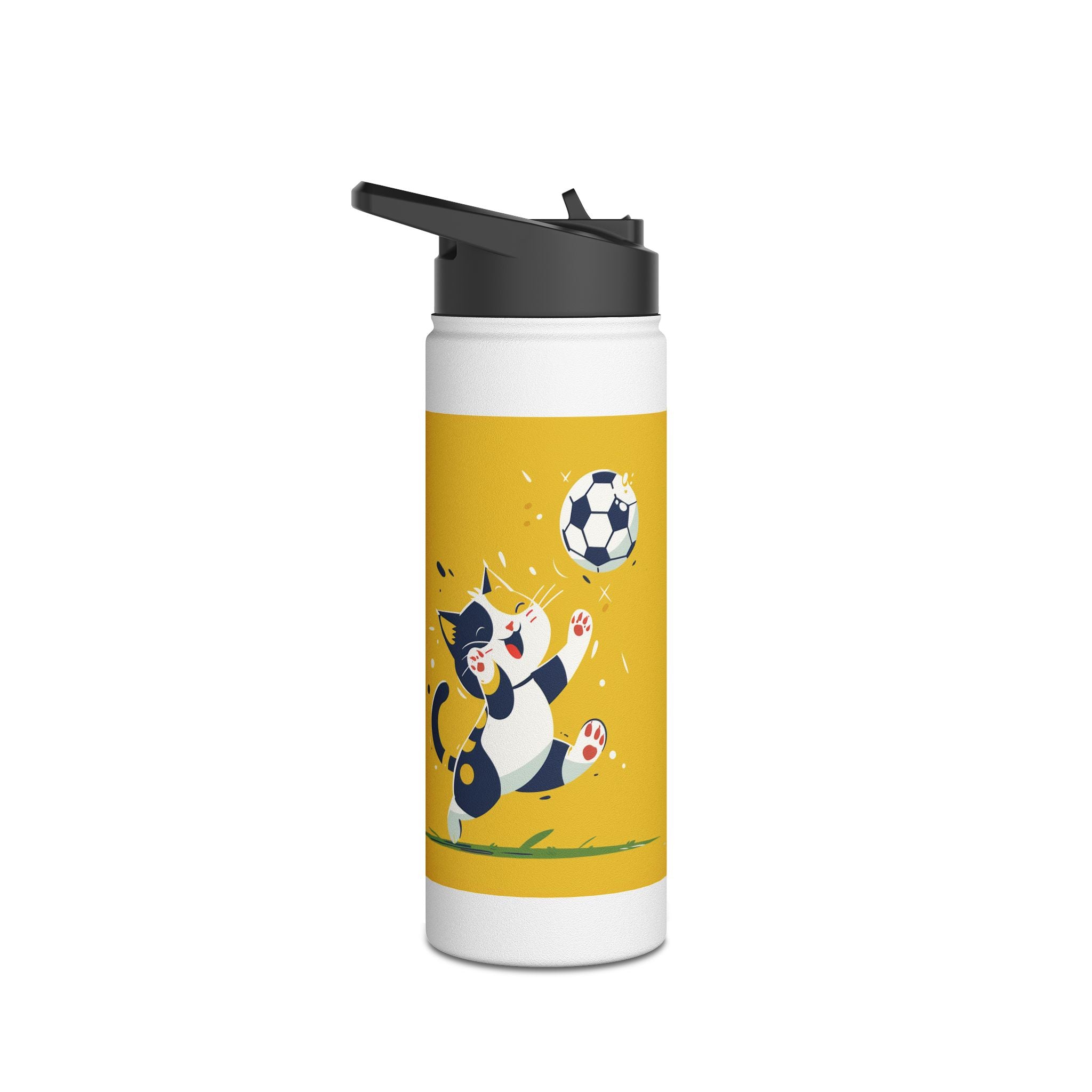 Stainless Steel Water Bottle, Standard Lid