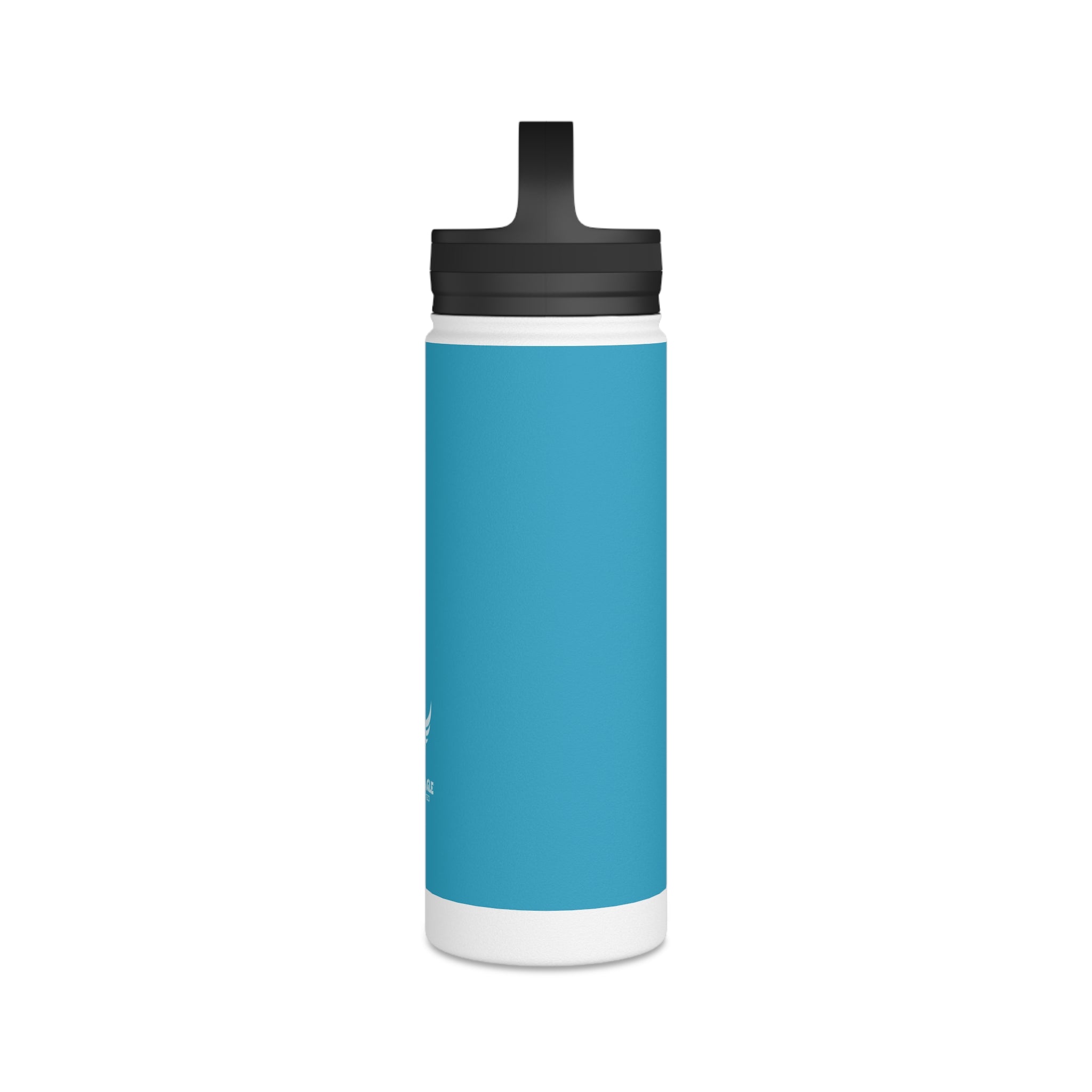 Stainless Steel Water Bottle, Handle Lid