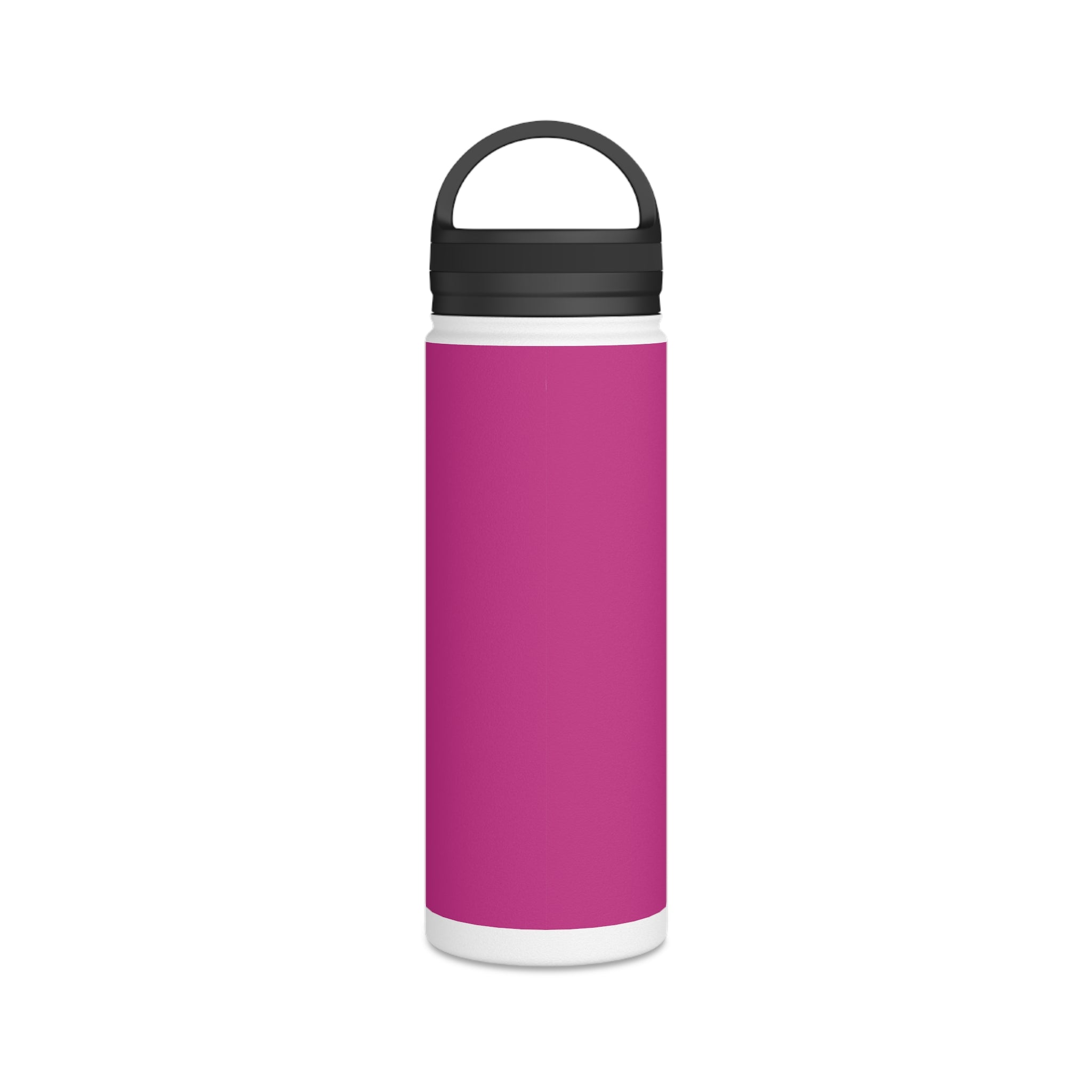 Stainless Steel Water Bottle, Handle Lid