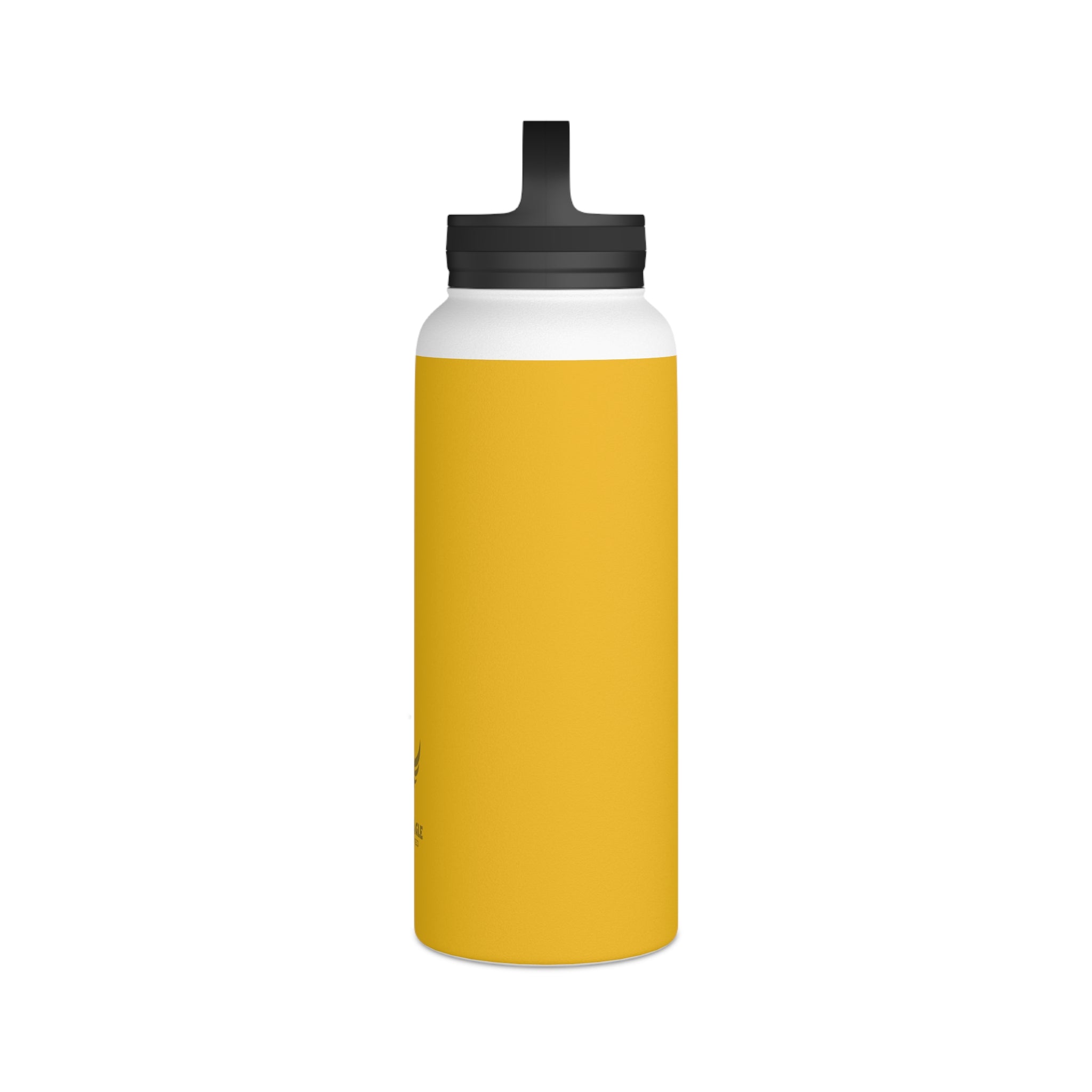 Stainless Steel Water Bottle, Handle Lid