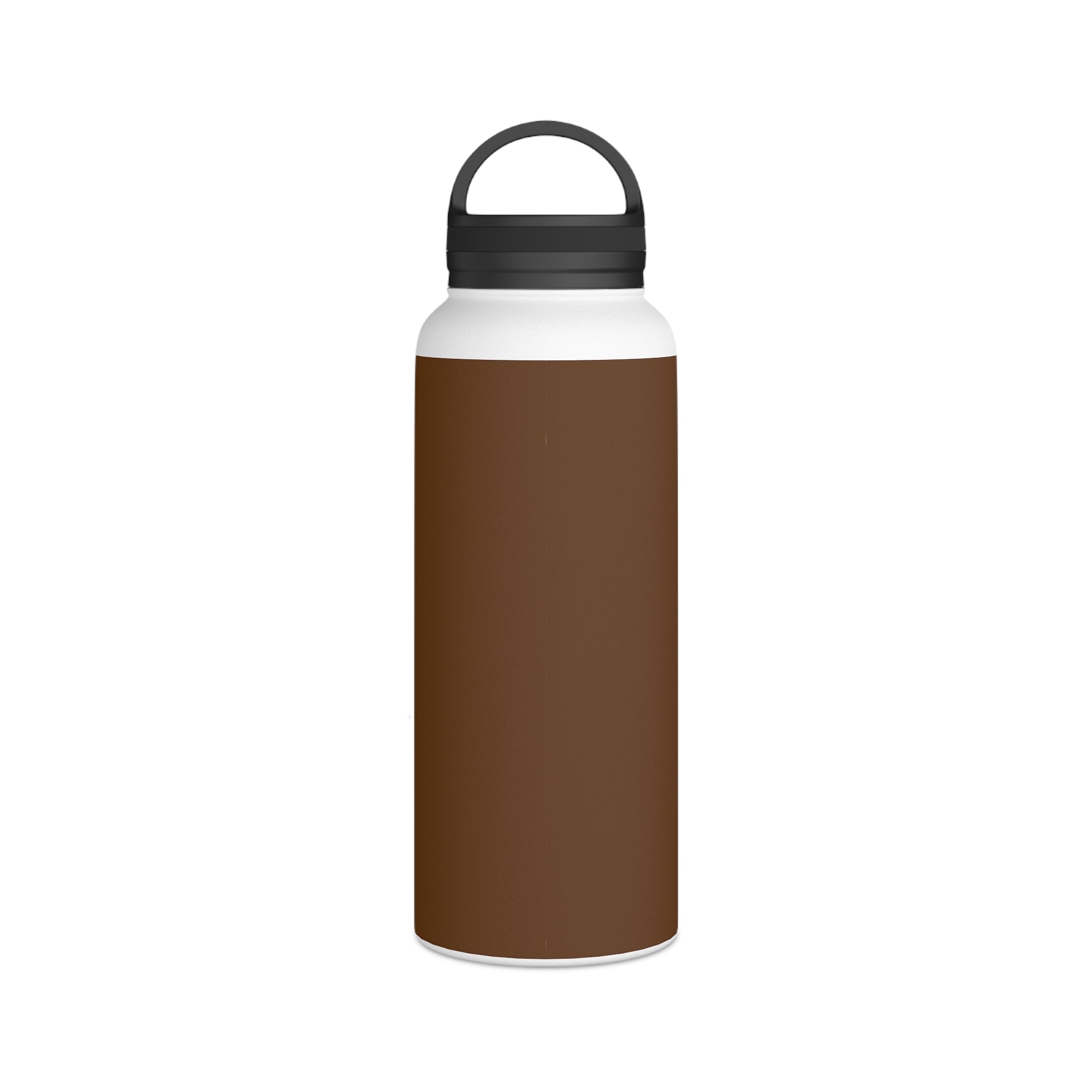 Stainless Steel Water Bottle, Handle Lid