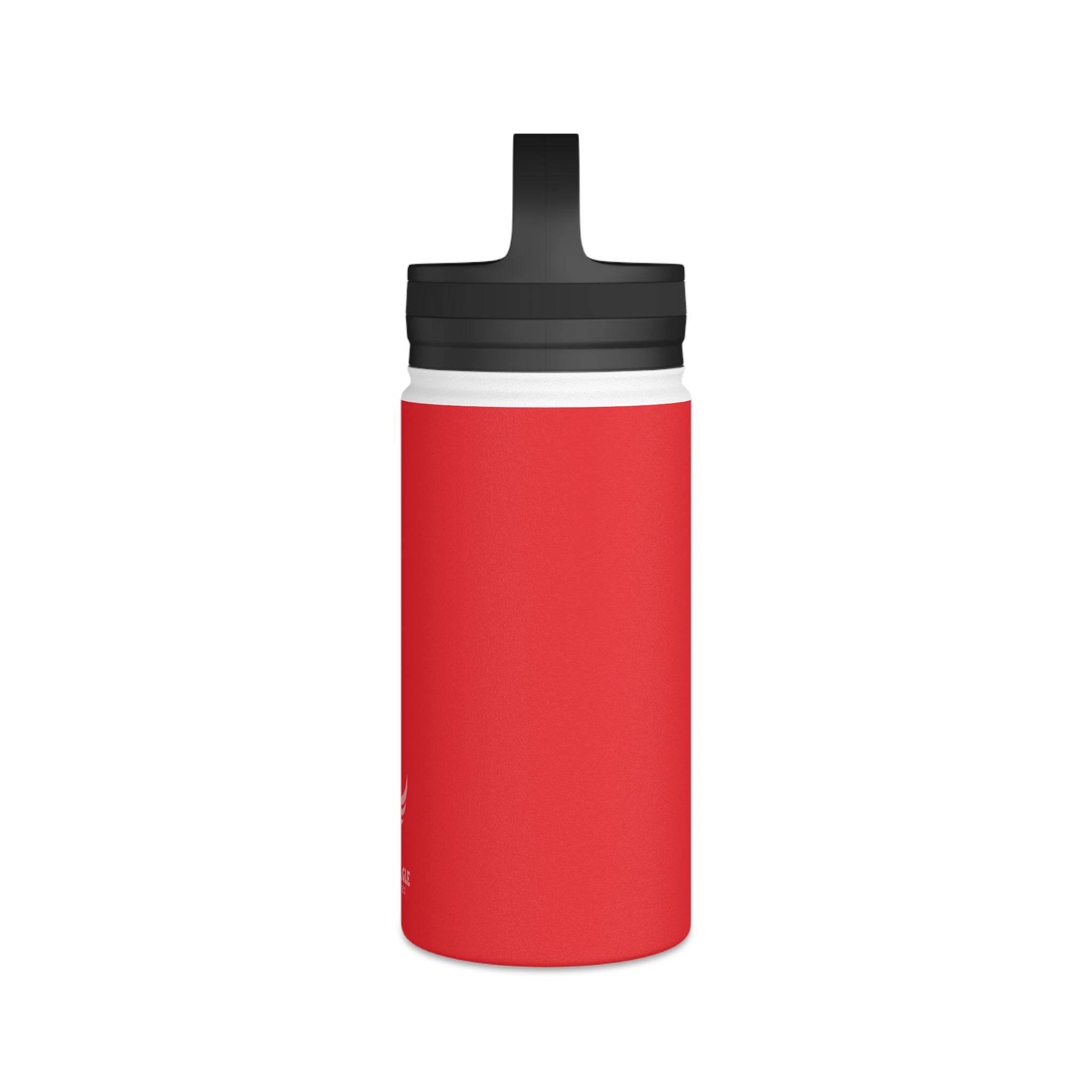 Stainless Steel Water Bottle, Handle Lid
