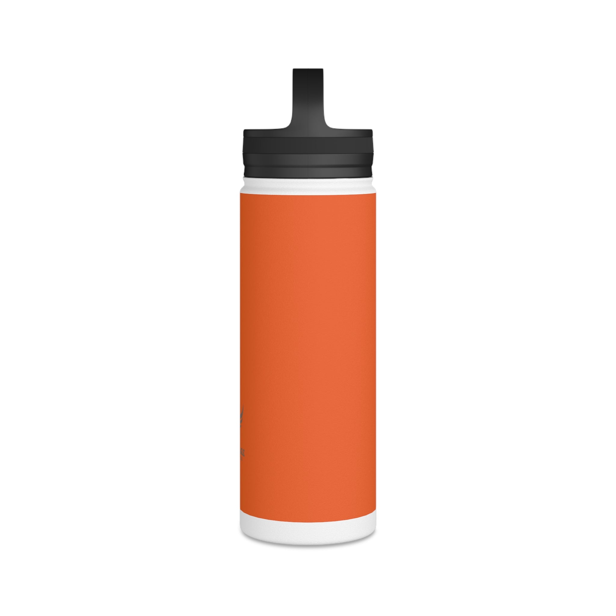 Stainless Steel Water Bottle, Handle Lid
