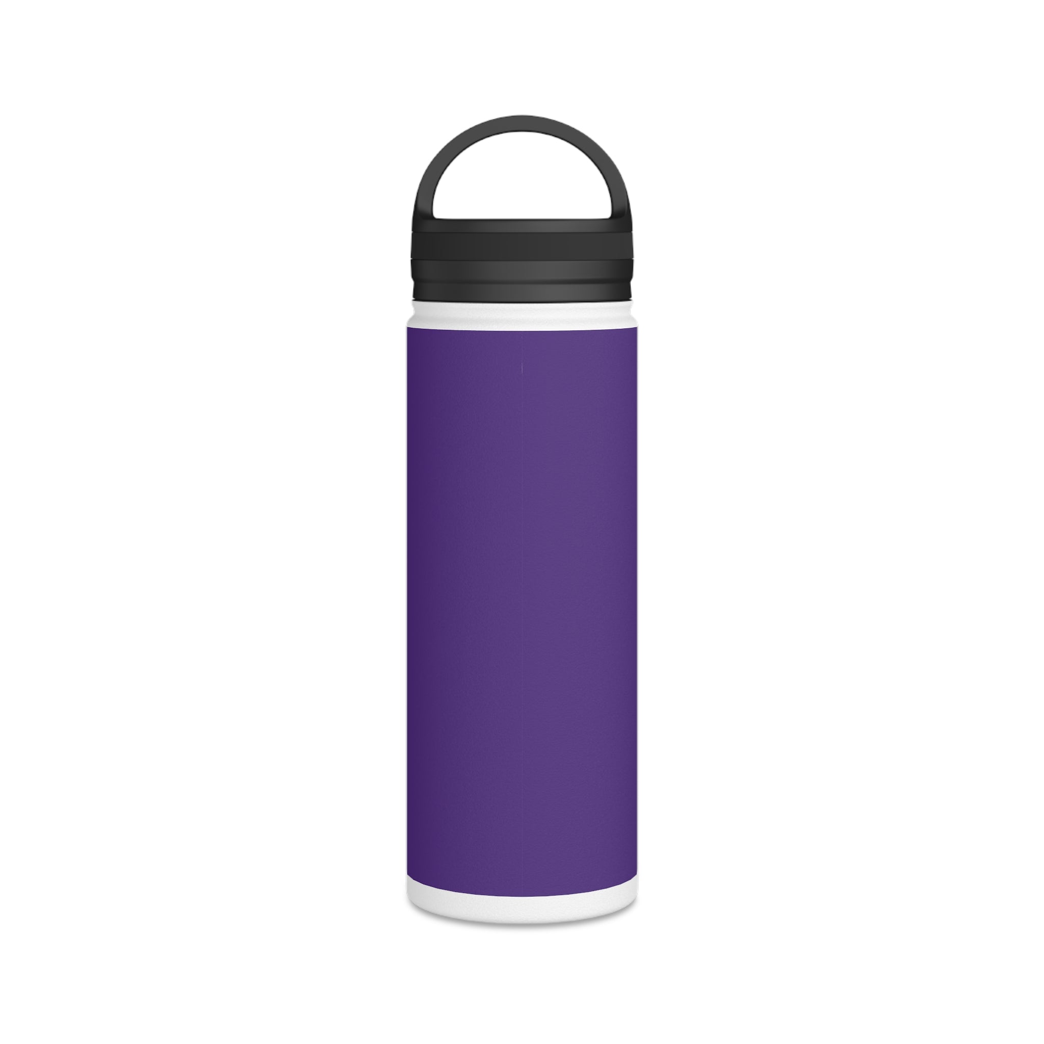 Stainless Steel Water Bottle, Handle Lid