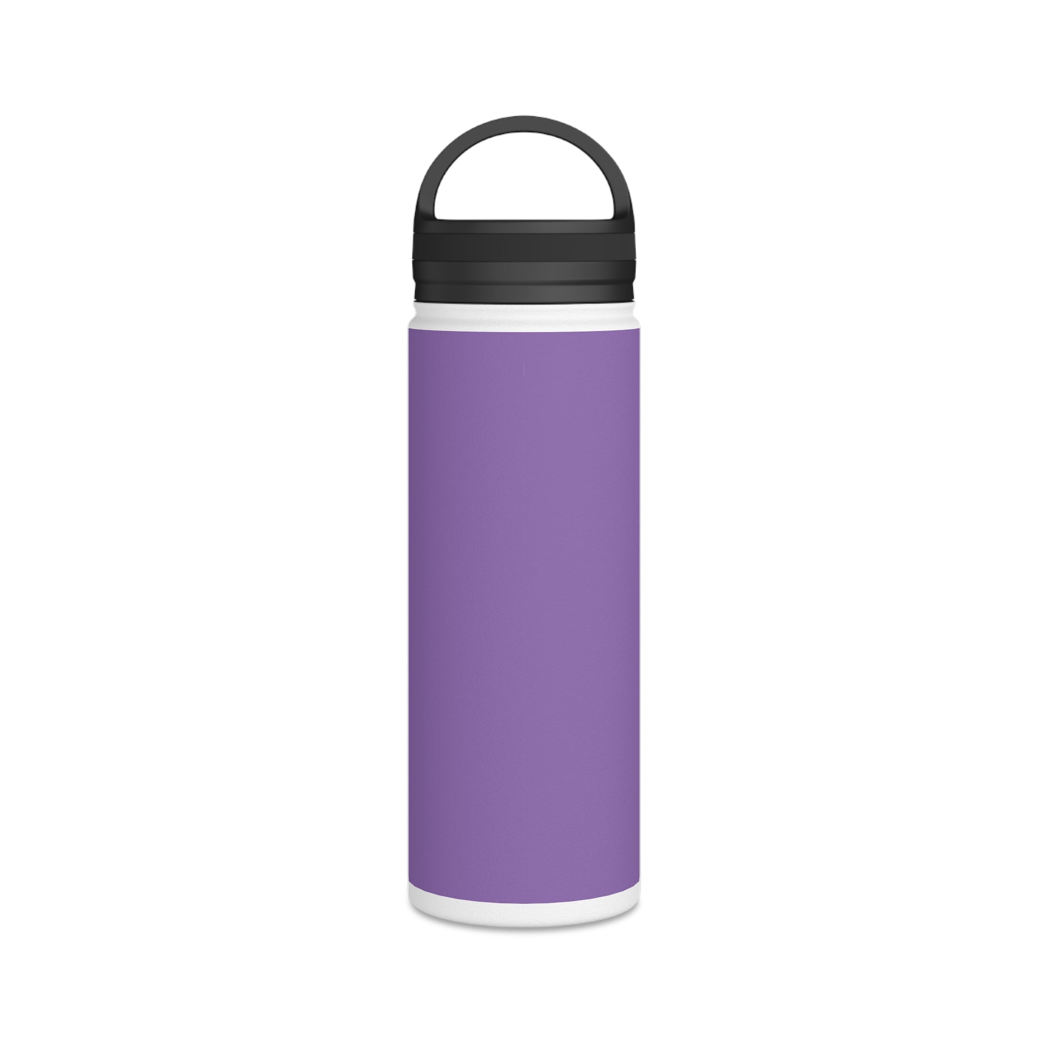 Stainless Steel Water Bottle, Handle Lid