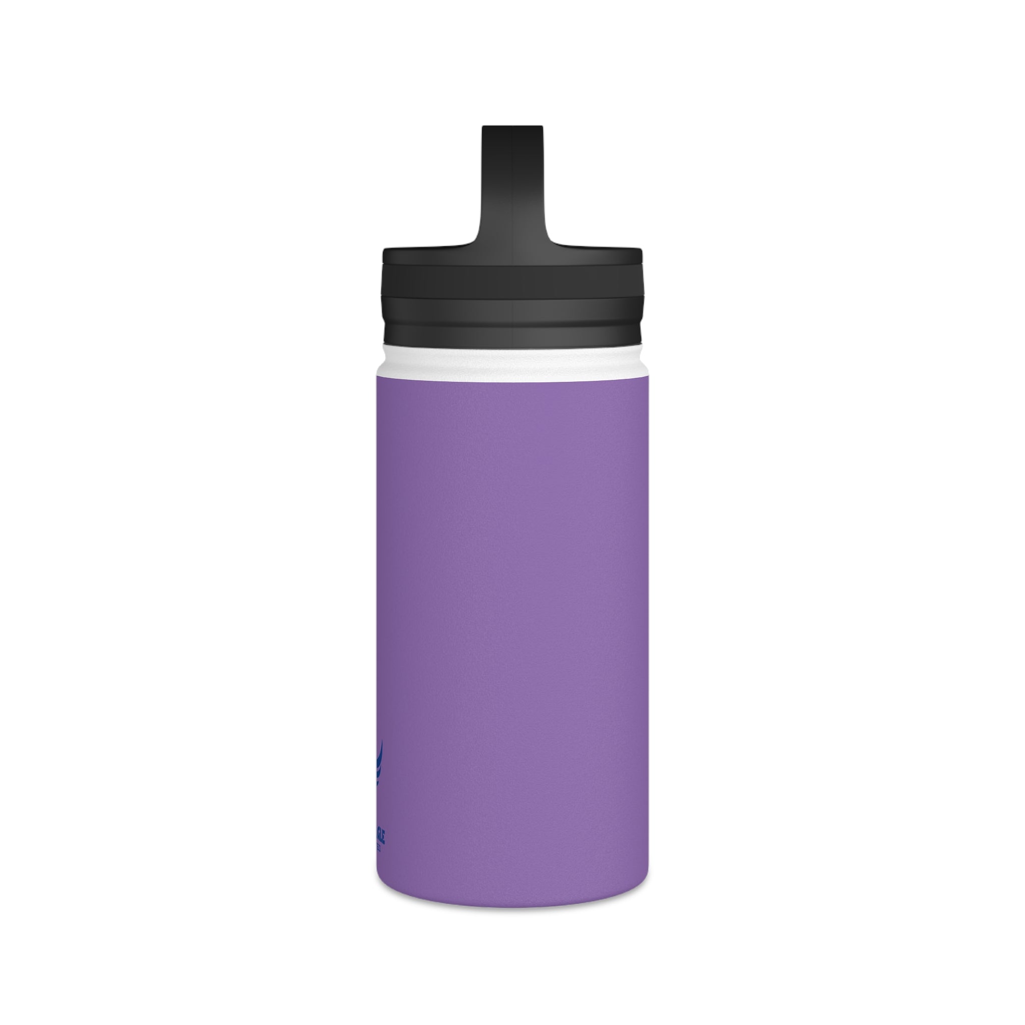 Stainless Steel Water Bottle, Handle Lid