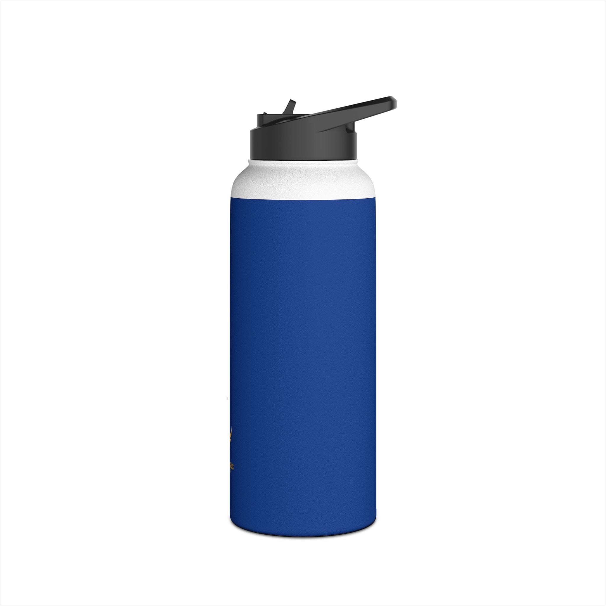 Stainless Steel Water Bottle, Standard Lid