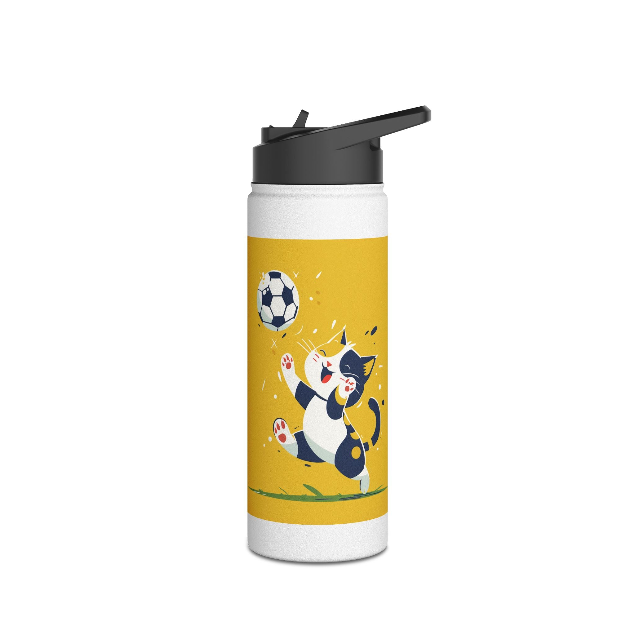 Stainless Steel Water Bottle, Standard Lid