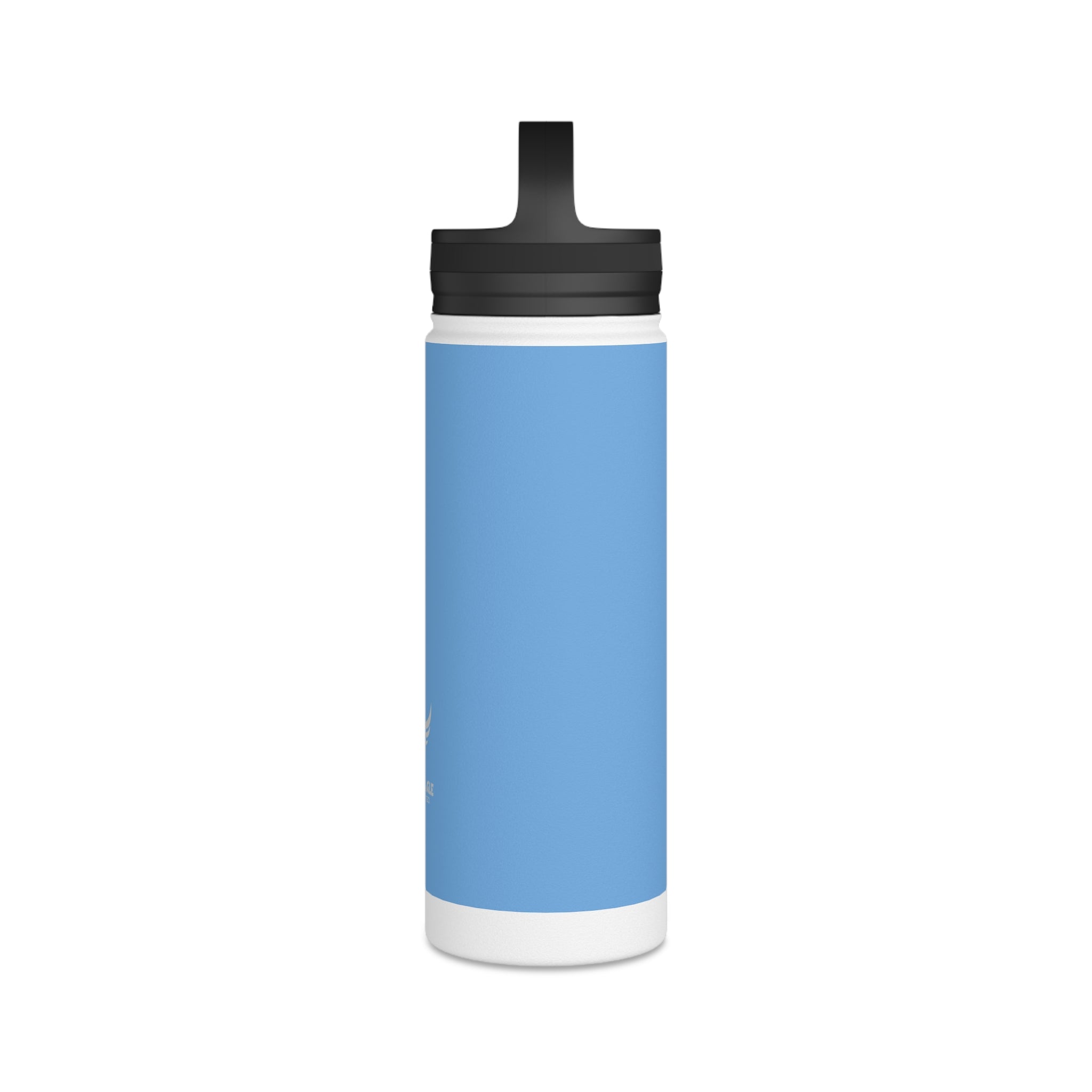 Stainless Steel Water Bottle, Handle Lid