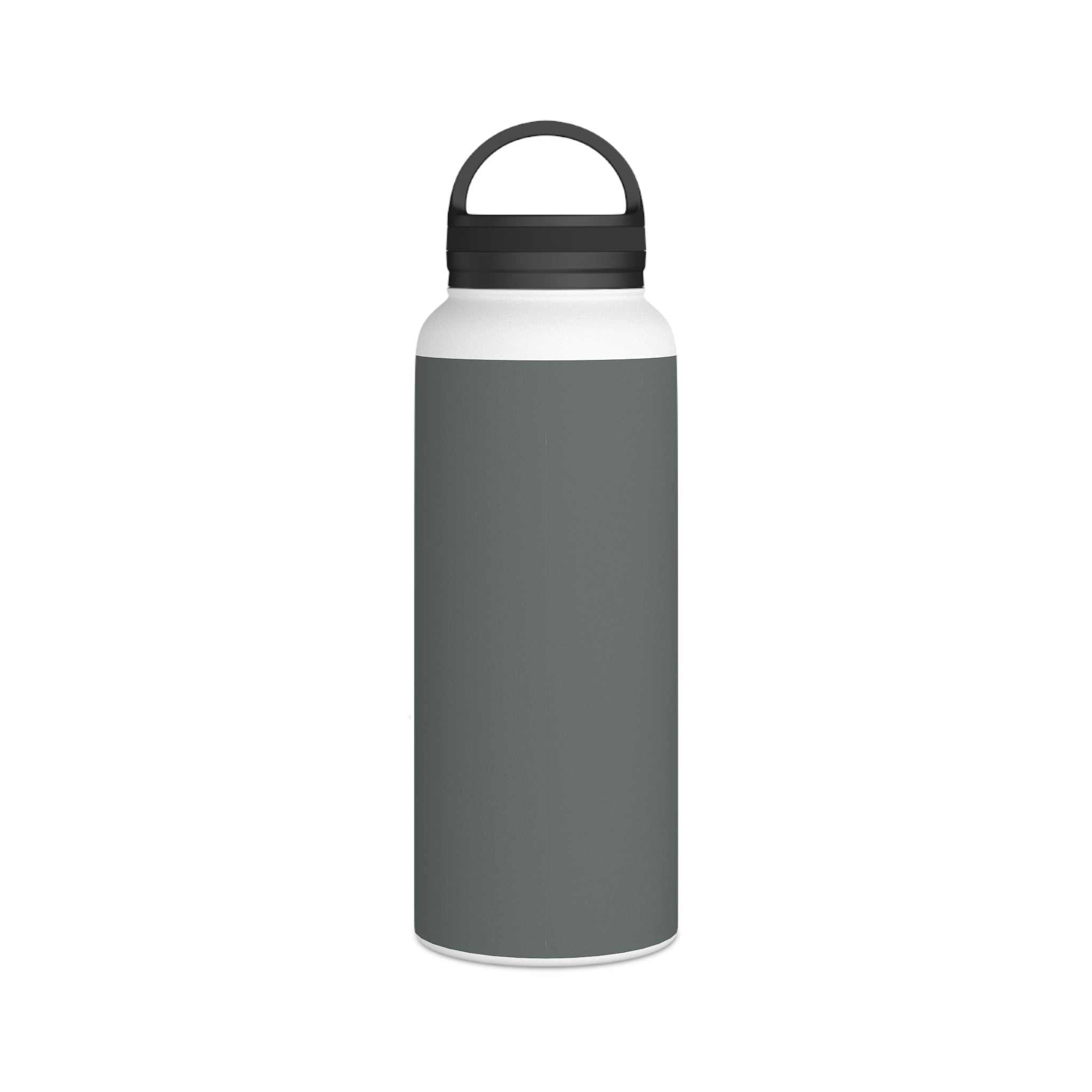 Stainless Steel Water Bottle, Handle Lid