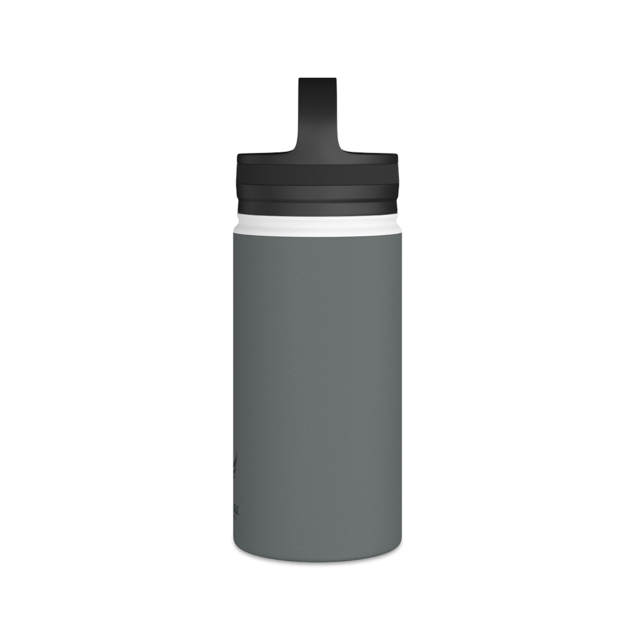 Stainless Steel Water Bottle, Handle Lid