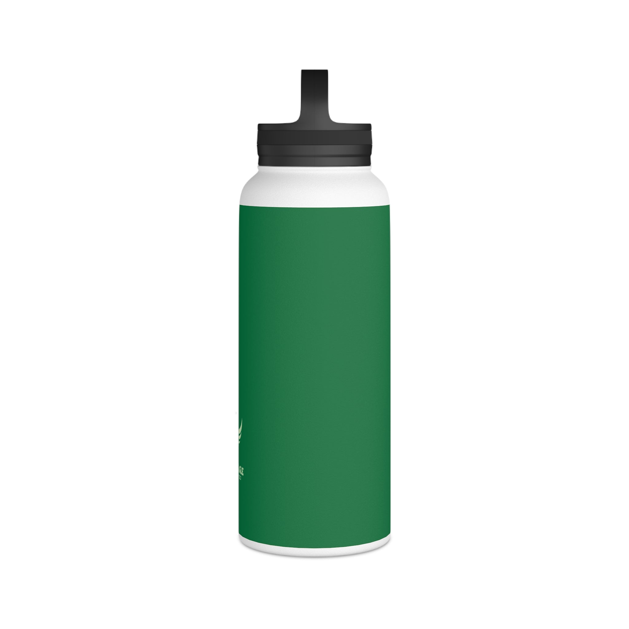Stainless Steel Water Bottle, Handle Lid