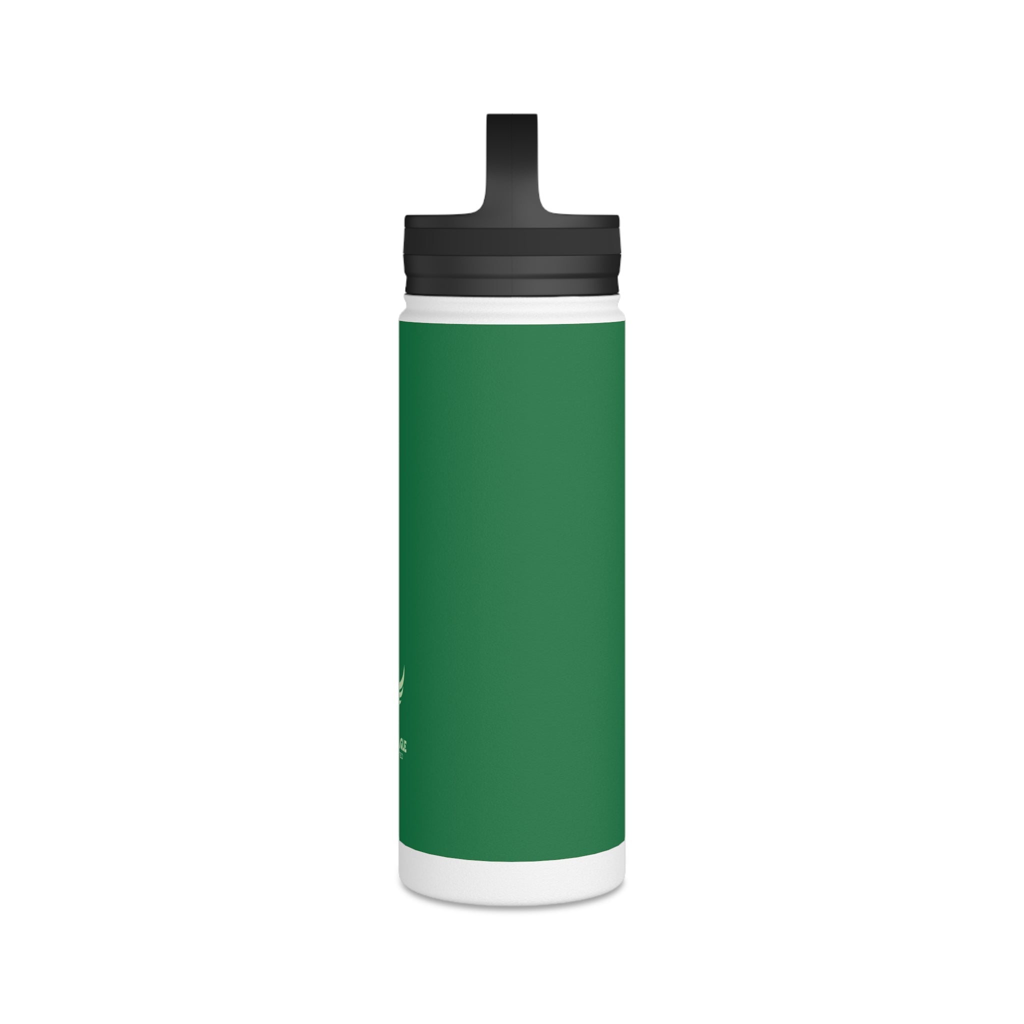 Stainless Steel Water Bottle, Handle Lid
