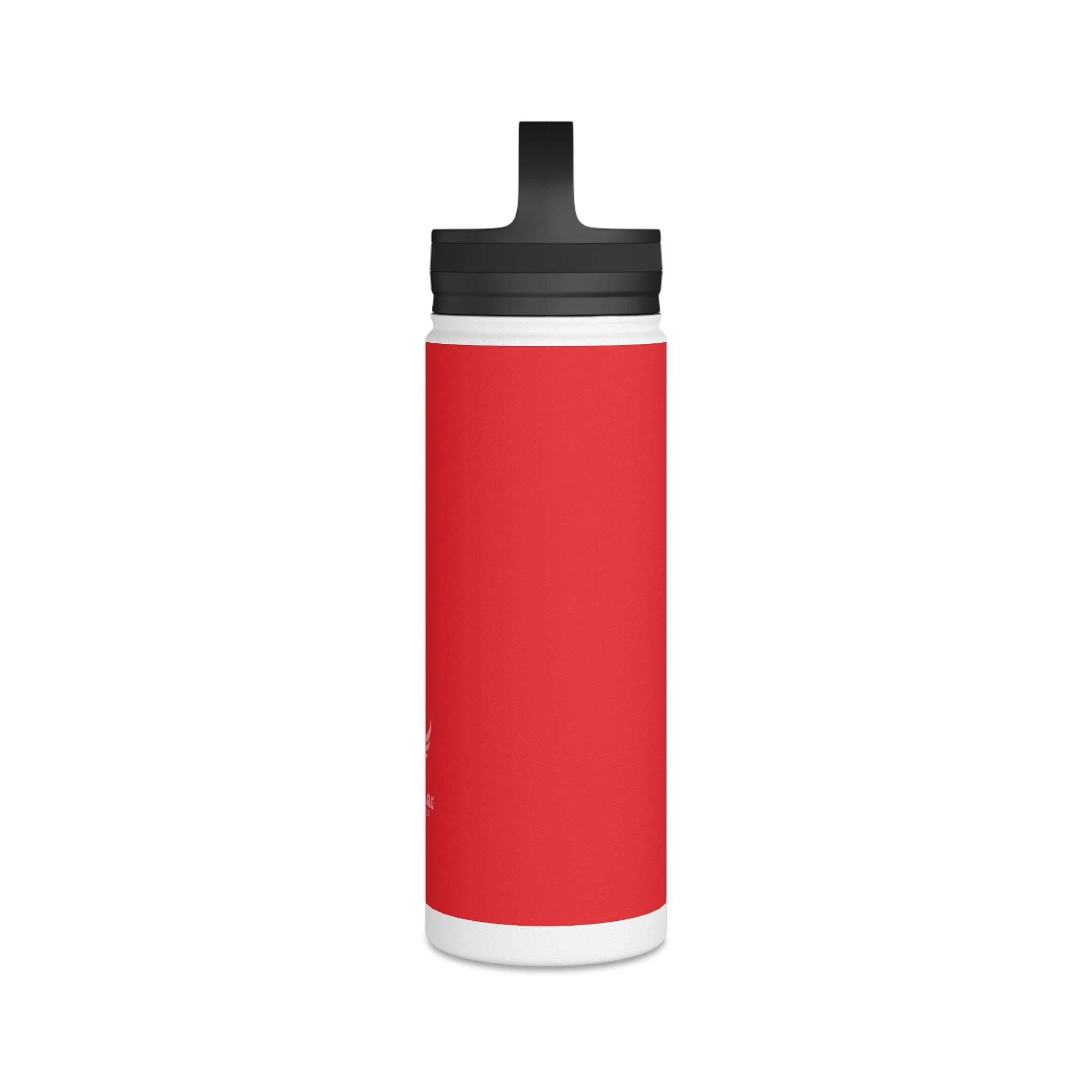Stainless Steel Water Bottle, Handle Lid