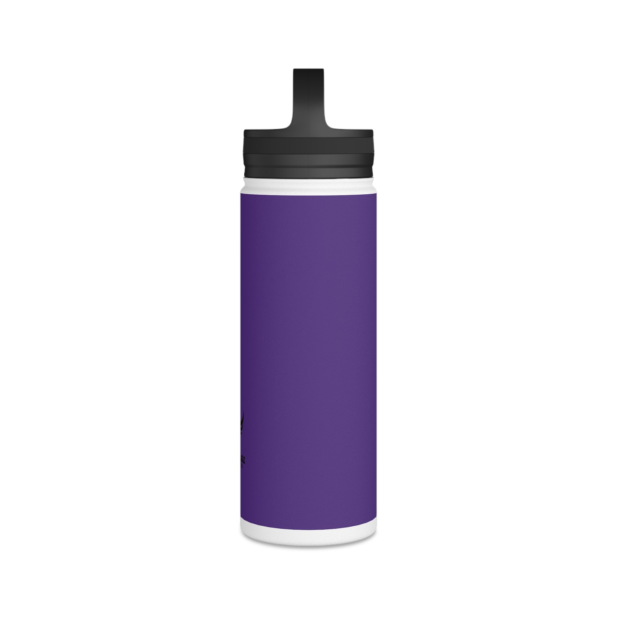 Stainless Steel Water Bottle, Handle Lid