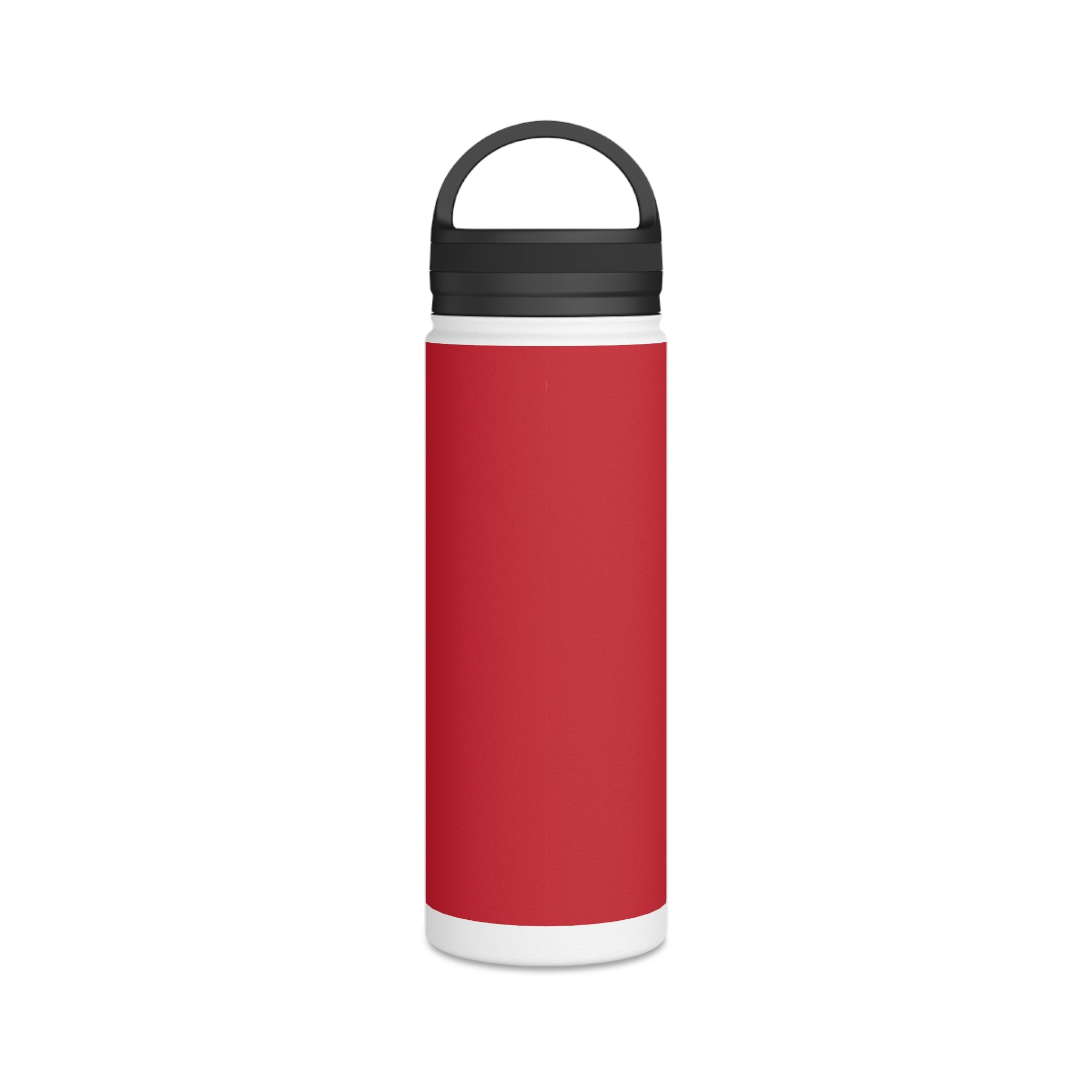 Stainless Steel Water Bottle, Handle Lid