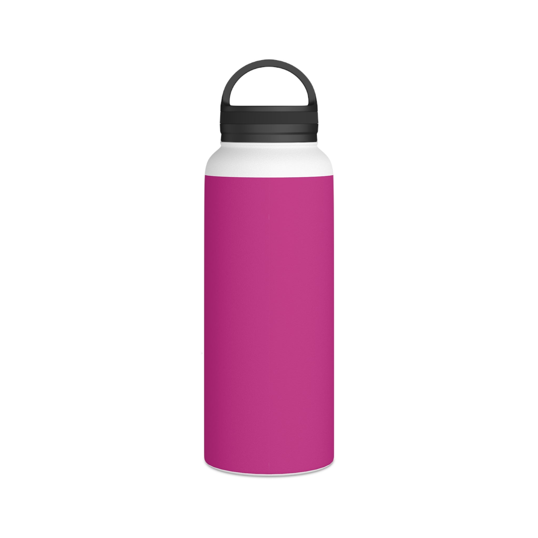 Stainless Steel Water Bottle, Handle Lid