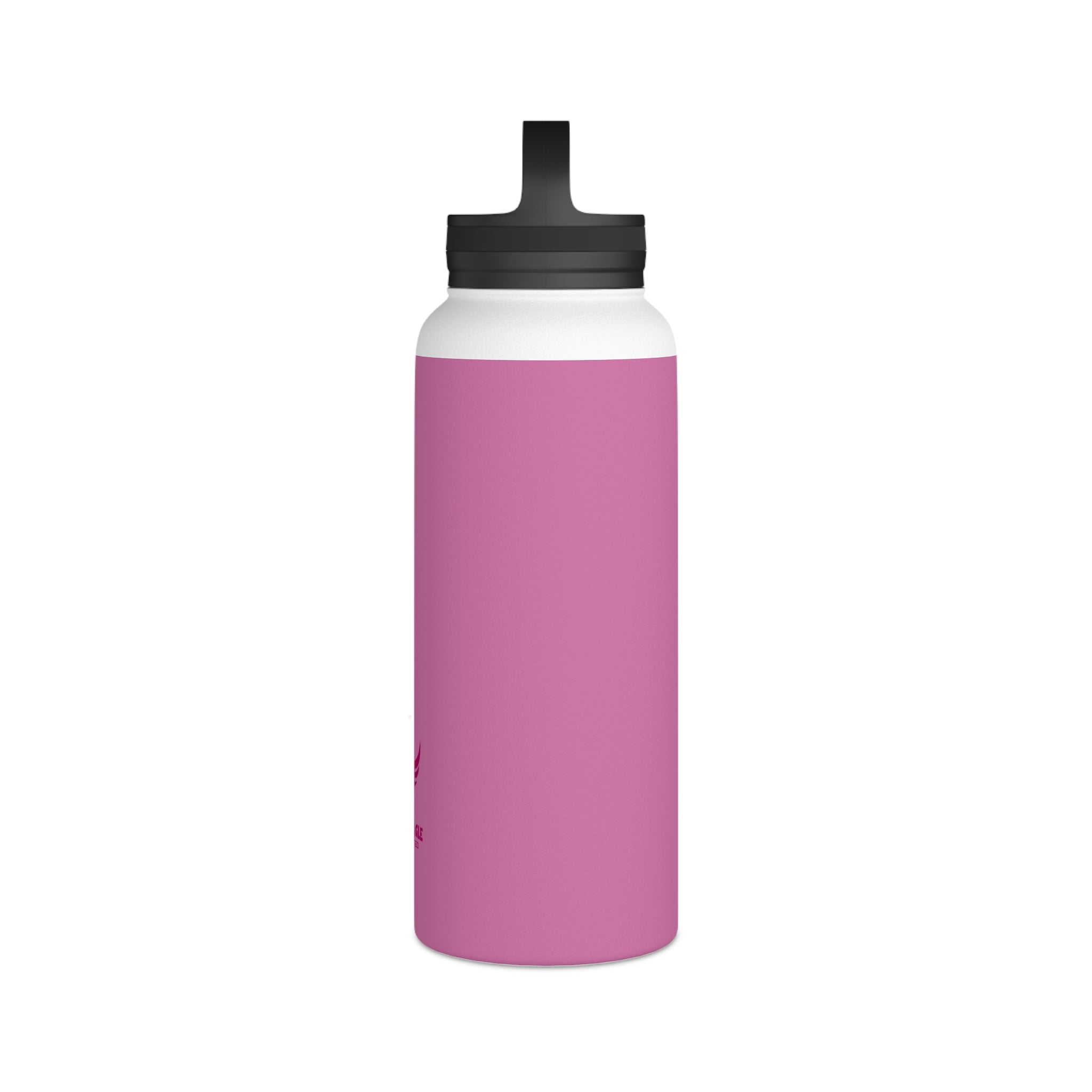 Stainless Steel Water Bottle, Handle Lid