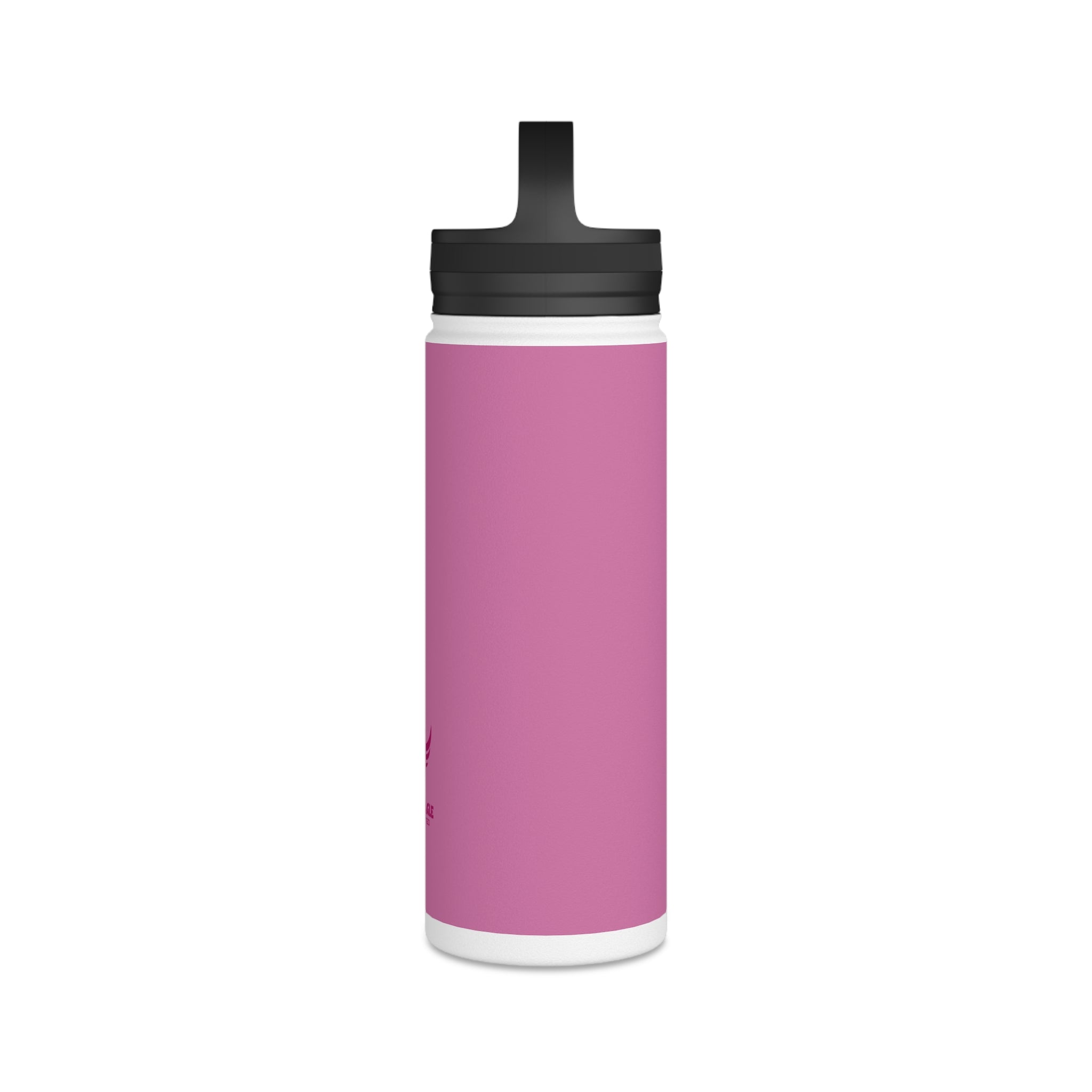 Stainless Steel Water Bottle, Handle Lid
