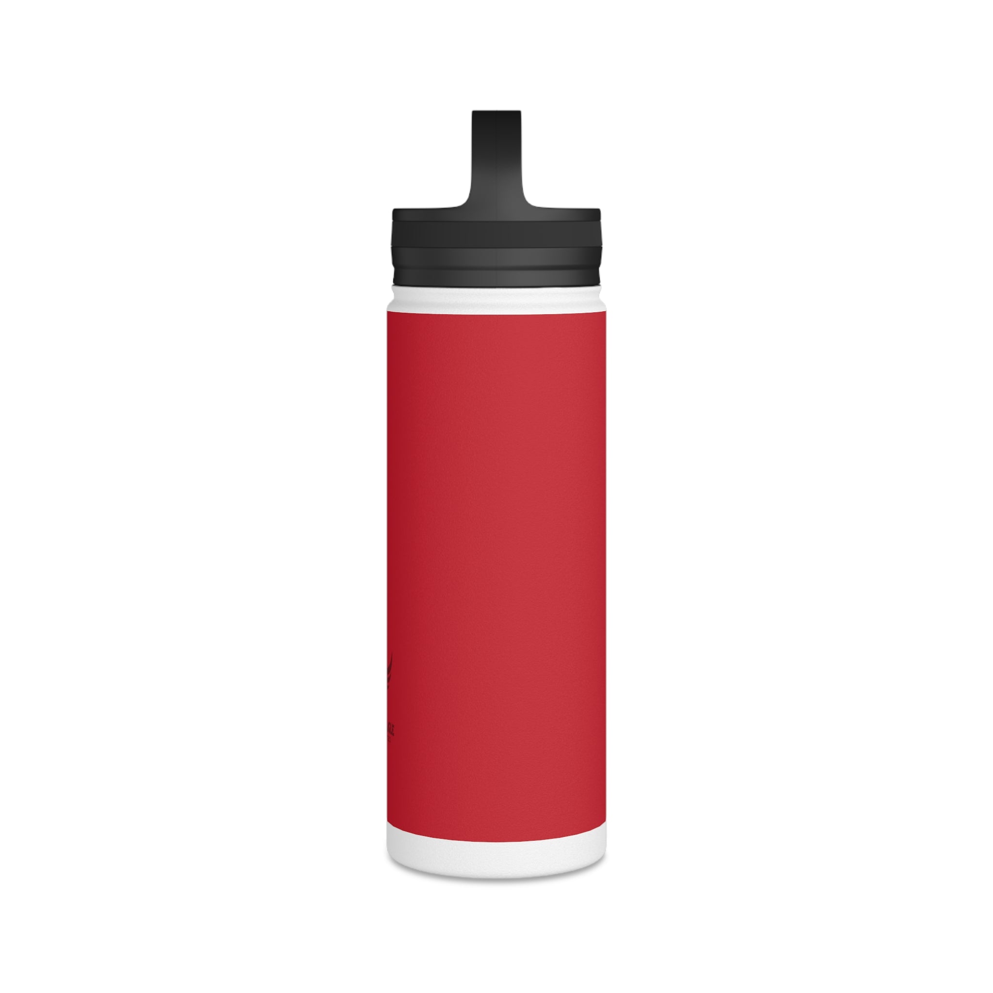 Stainless Steel Water Bottle, Handle Lid