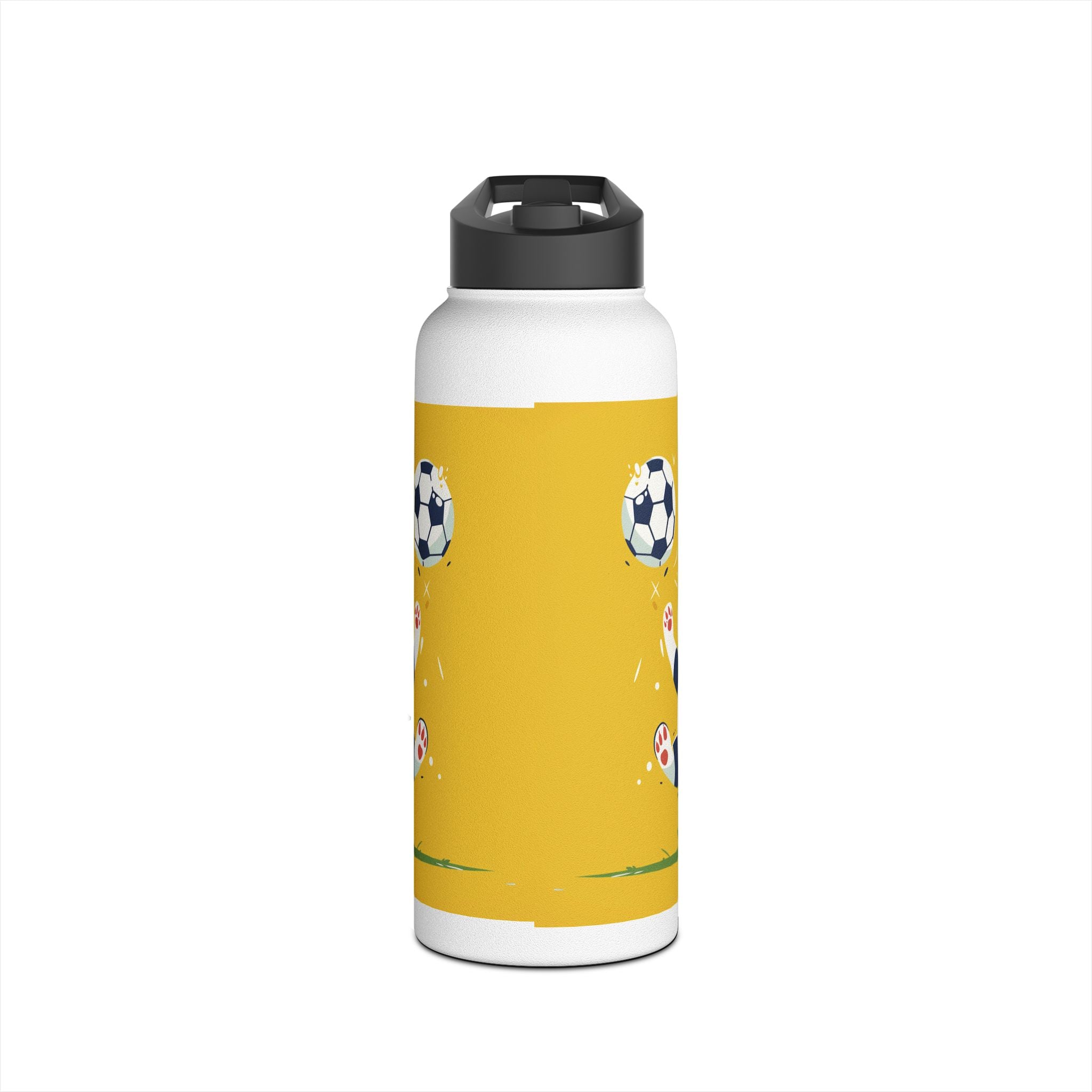 Stainless Steel Water Bottle, Standard Lid
