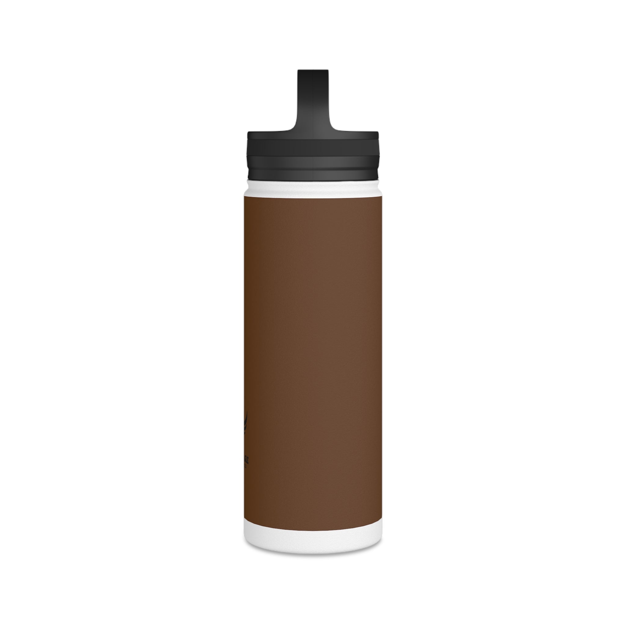 Stainless Steel Water Bottle, Handle Lid