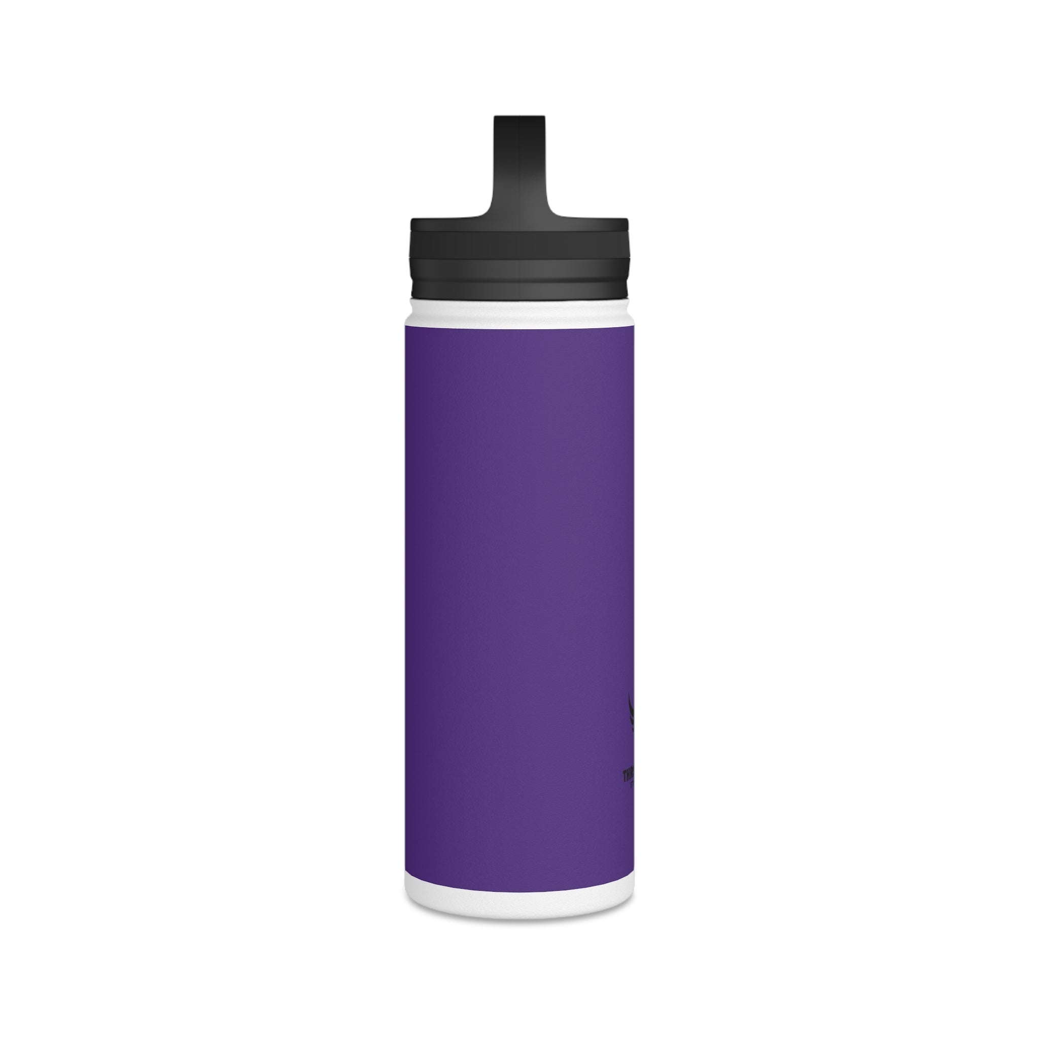 Stainless Steel Water Bottle, Handle Lid