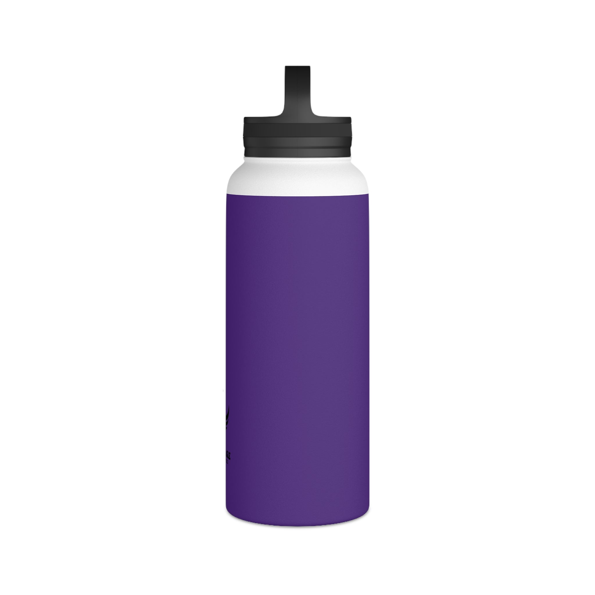 Stainless Steel Water Bottle, Handle Lid