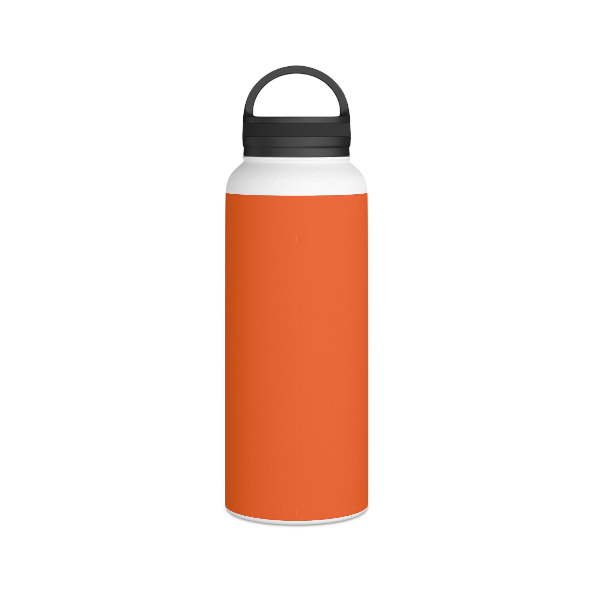 Stainless Steel Water Bottle, Handle Lid