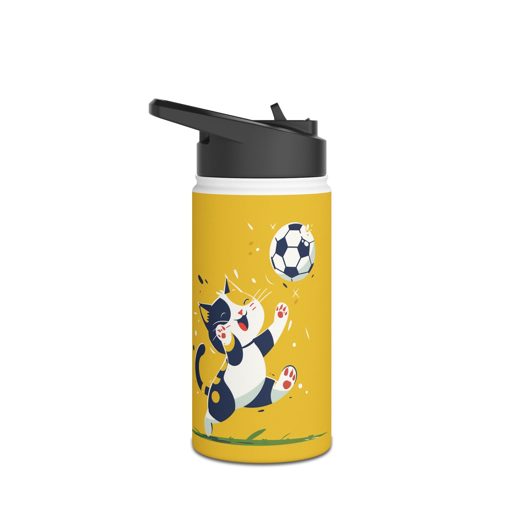Stainless Steel Water Bottle, Standard Lid