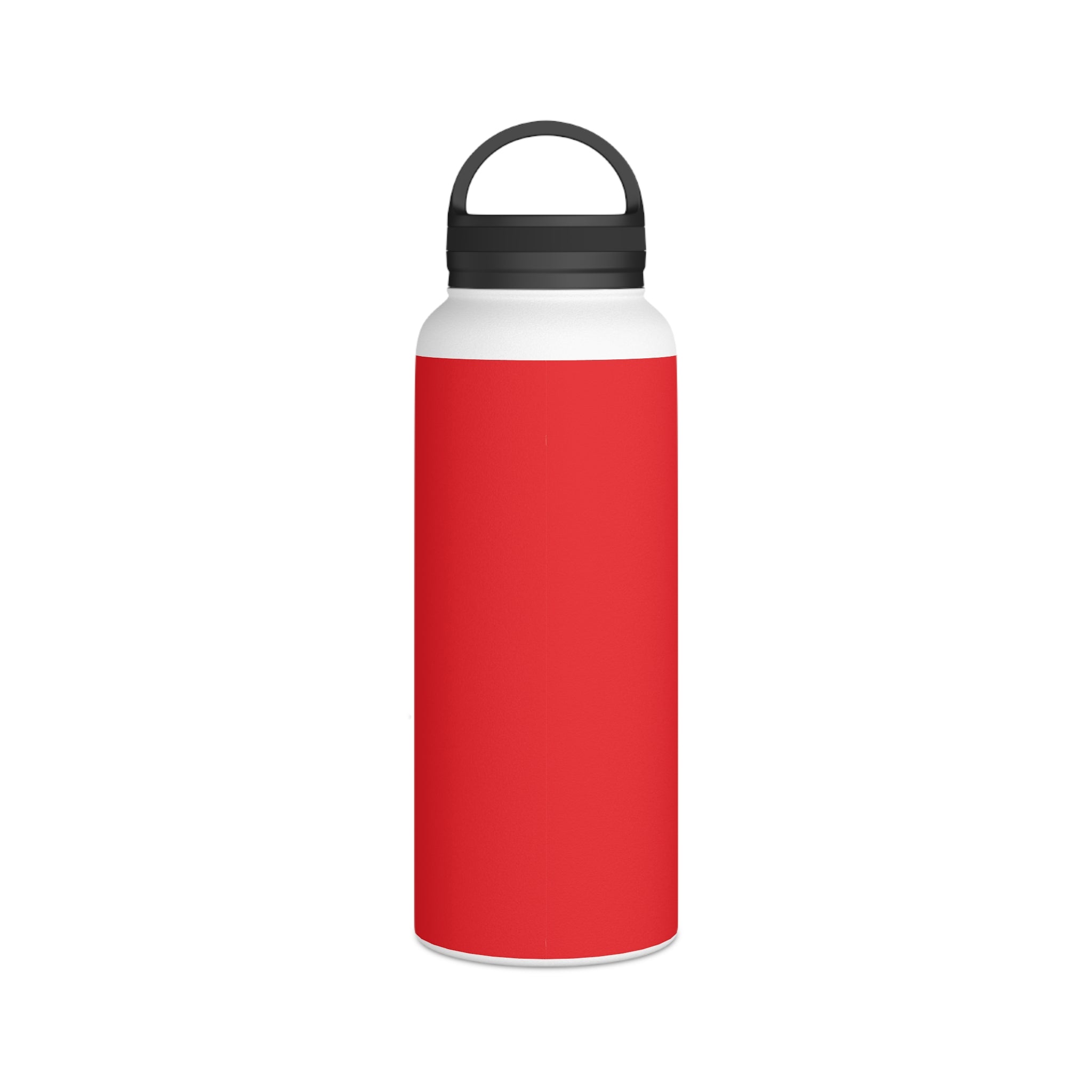 Stainless Steel Water Bottle, Handle Lid