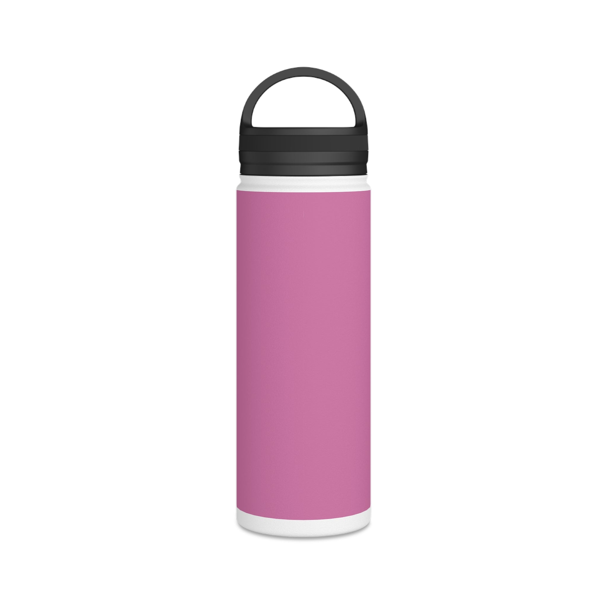 Stainless Steel Water Bottle, Handle Lid