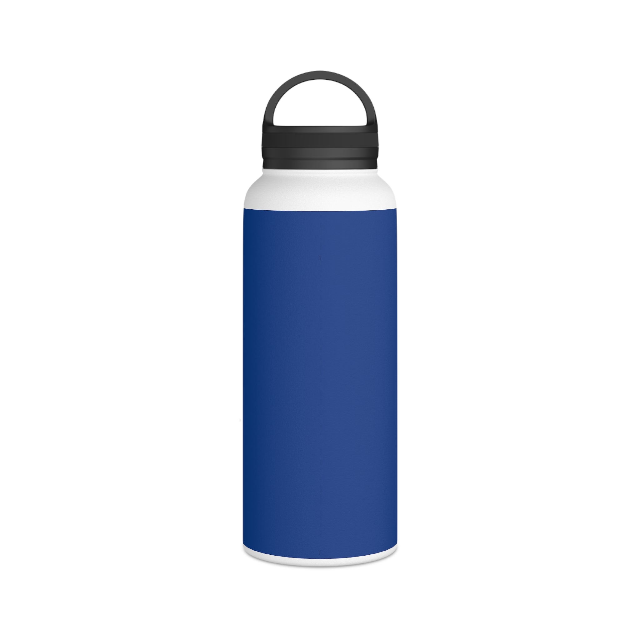 Stainless Steel Water Bottle, Handle Lid