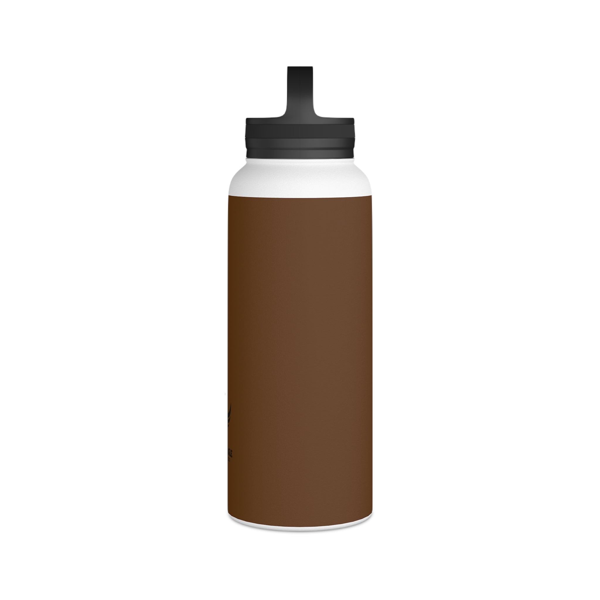 Stainless Steel Water Bottle, Handle Lid