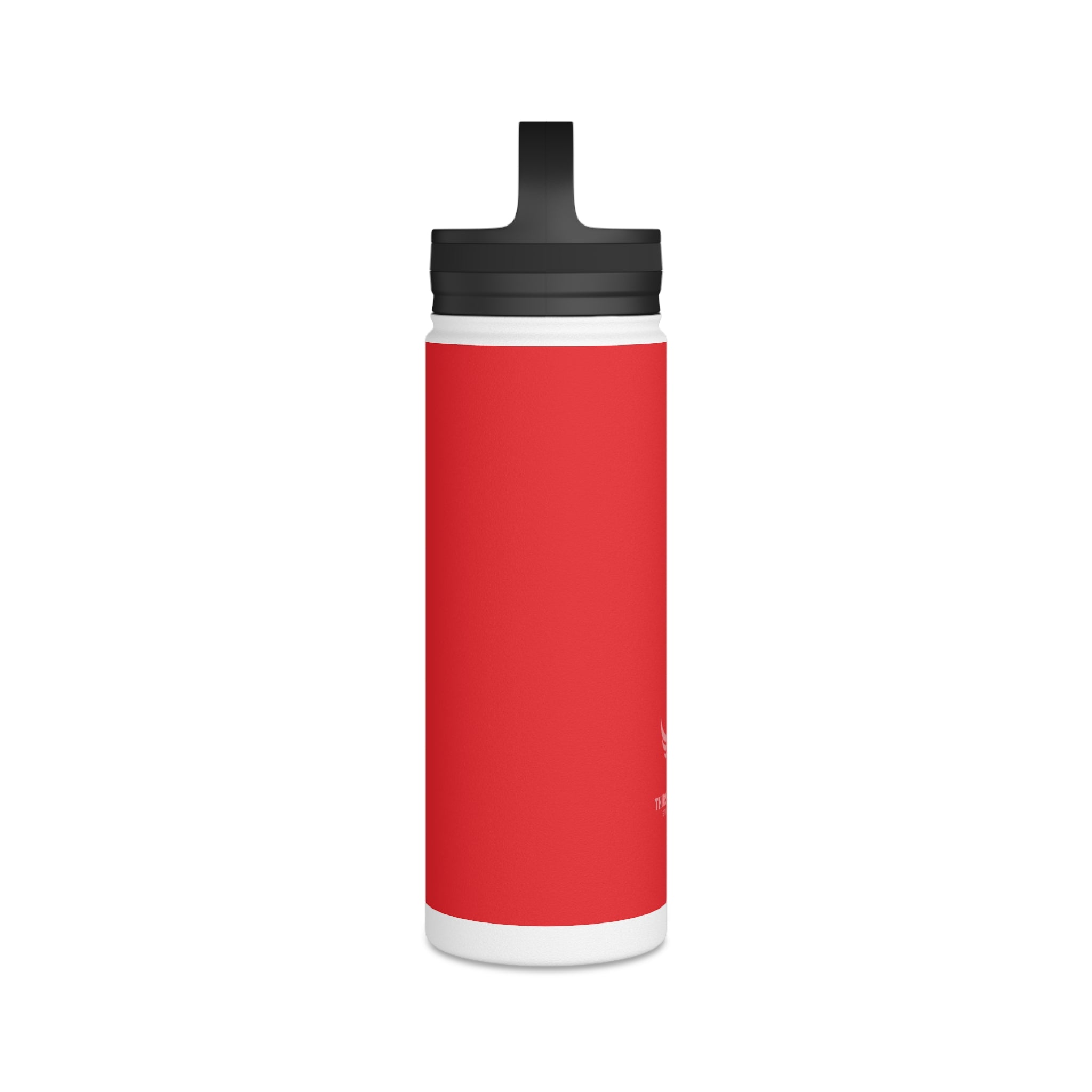 Stainless Steel Water Bottle, Handle Lid