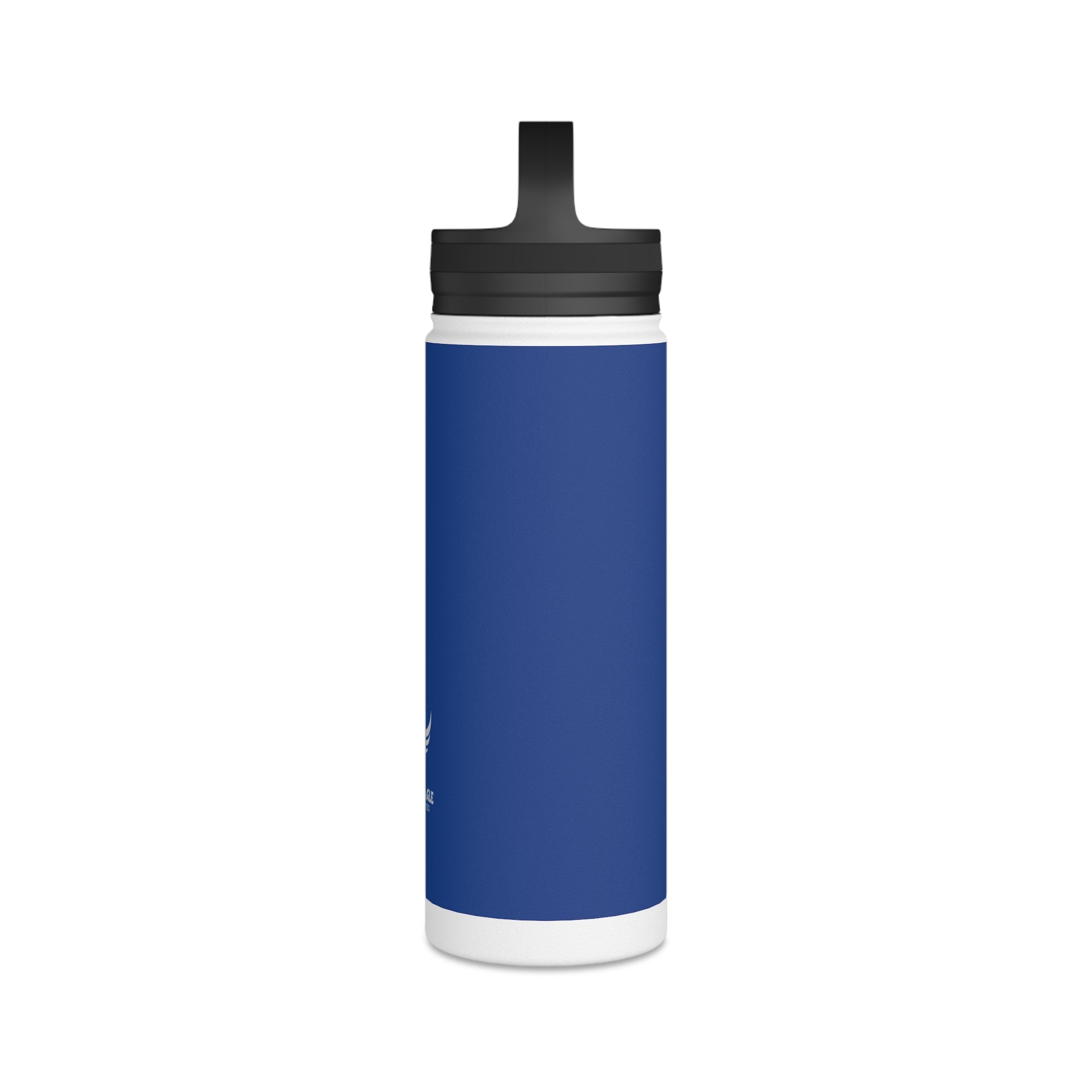 Stainless Steel Water Bottle, Handle Lid
