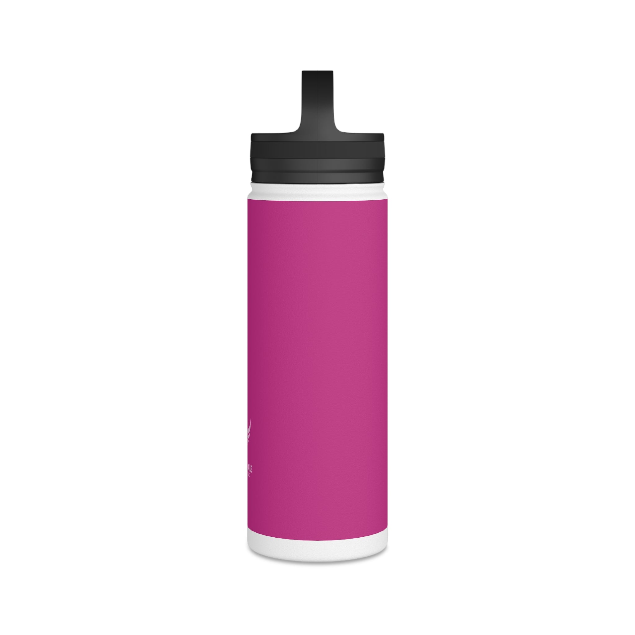 Stainless Steel Water Bottle, Handle Lid